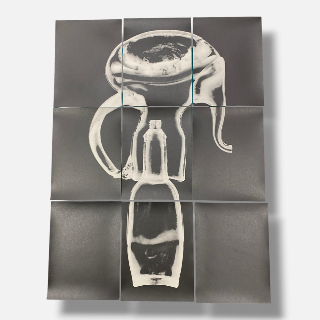 Sylvie Bussières "Sèrie Inutiles de Cristal" Foto No.1 Photogram Mural Wall Art