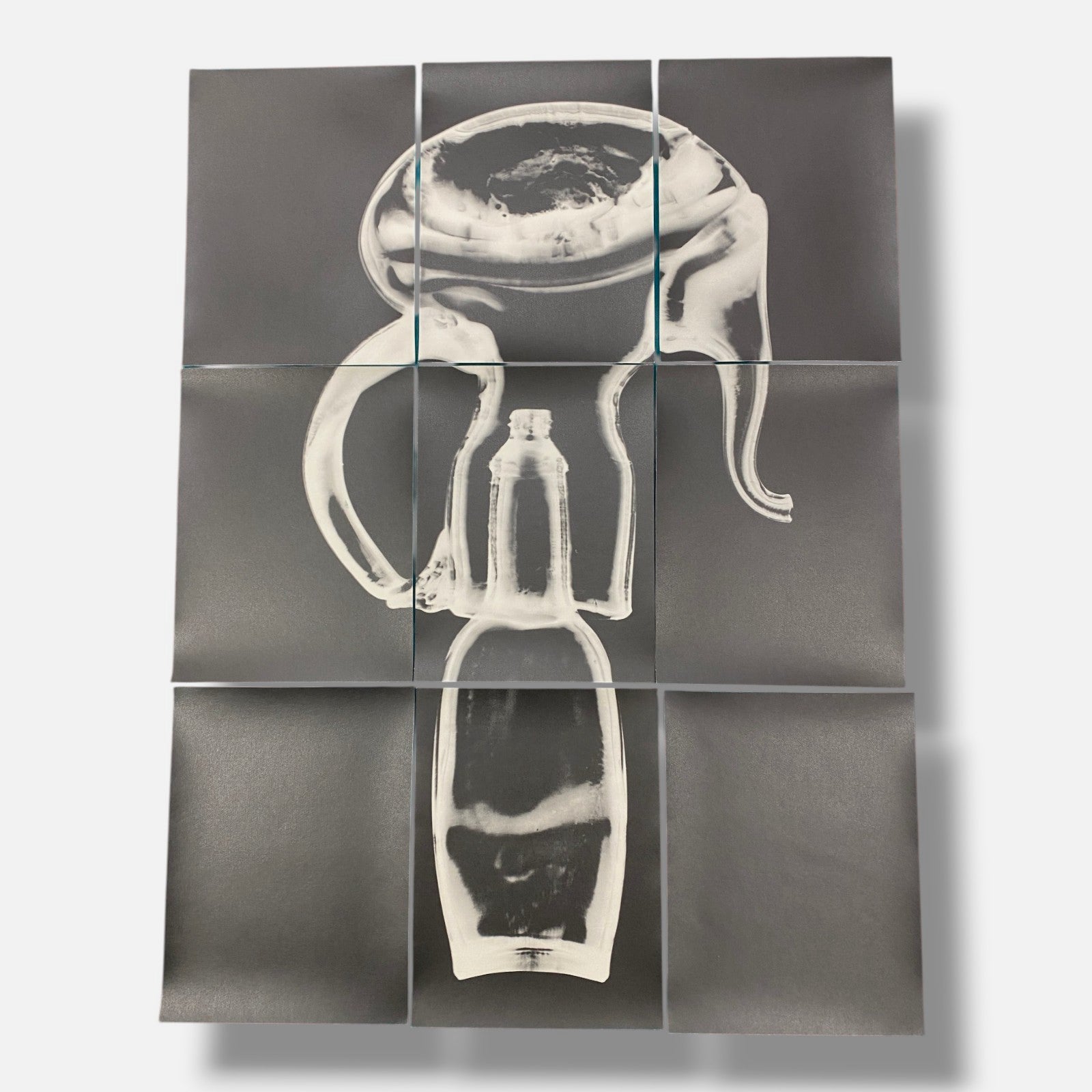 Sylvie Bussières "Sèrie Inutiles de Cristal" Foto No.1 Photogram Mural Wall Art