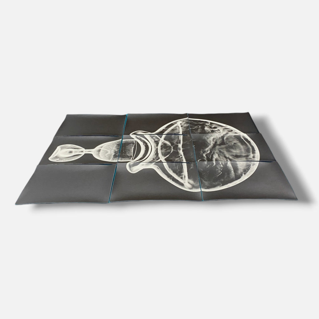 Sylvie Bussières "Sèrie Inutiles de Cristal" Foto No.3 Photogram Mural Wall Art