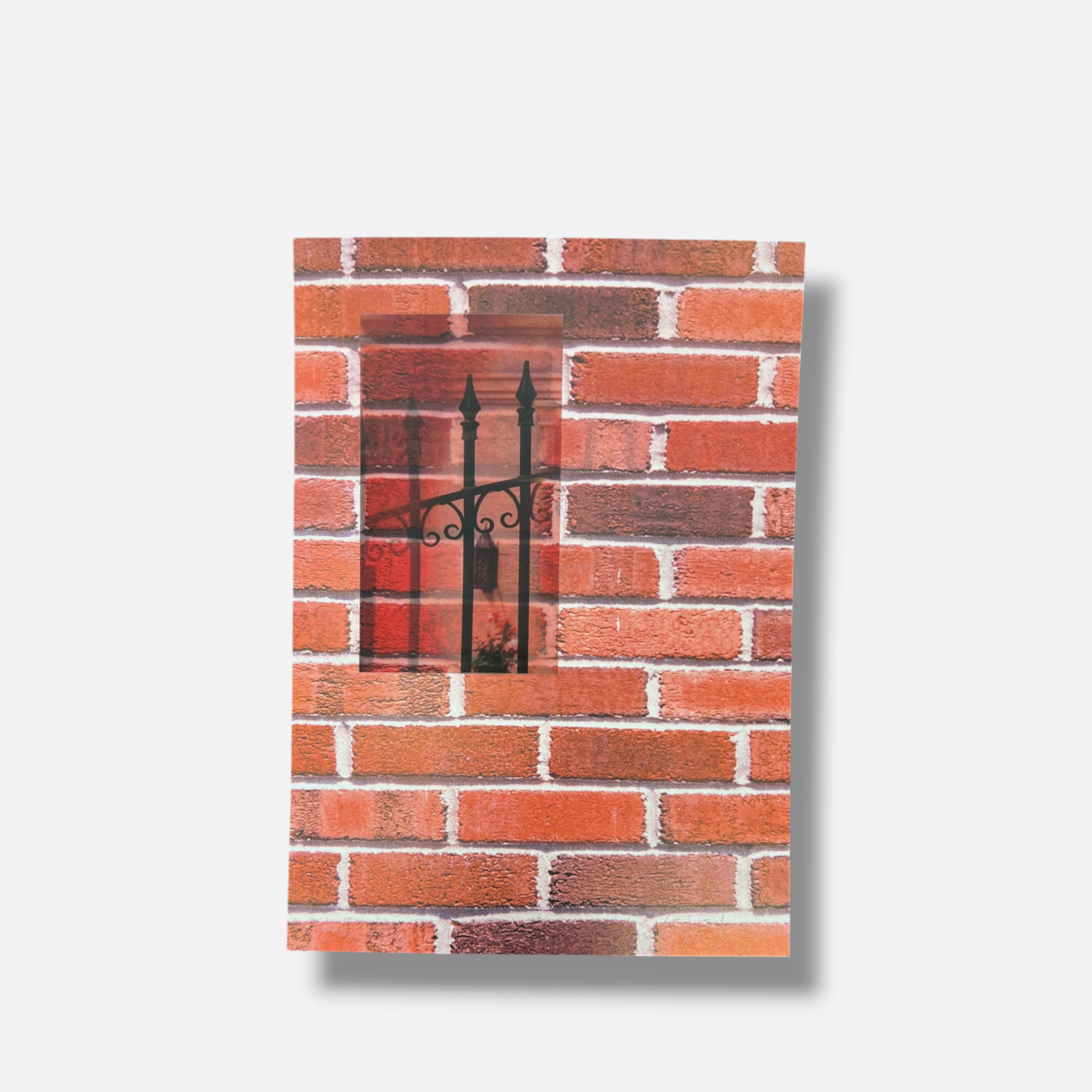 Luis Camnitzer "Sin Titulo" 2005 Limited Signed Wall Art Photography Set