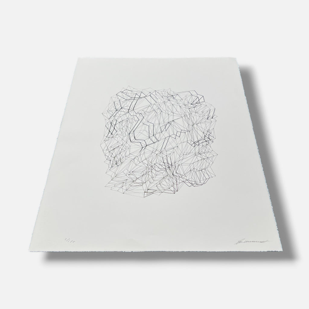 Tamara Zaitseva "Estructura Inversa II" P.T. Limited Signed Framed Wall Art