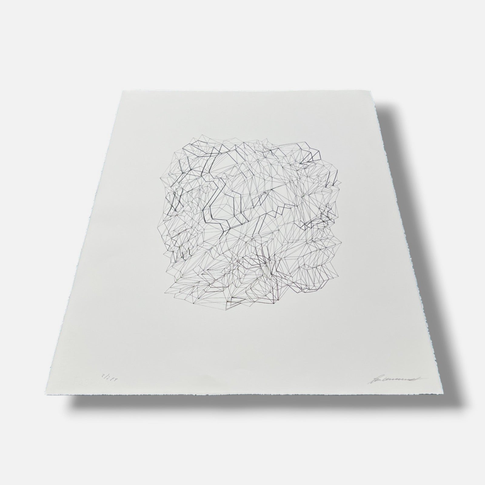 Tamara Zaitseva "Estructura Inversa II" P.T. Limited Signed Framed Wall Art