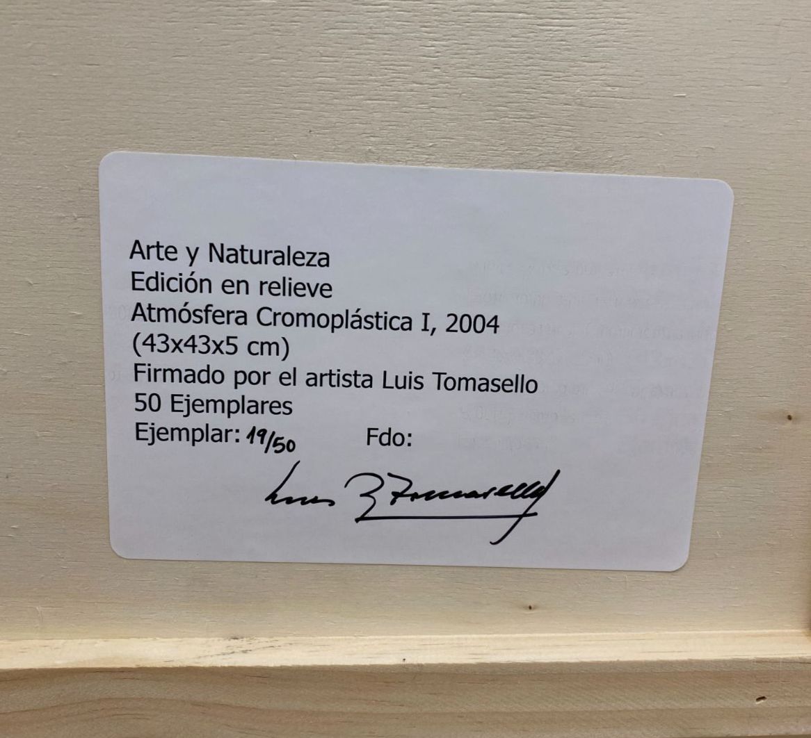 Luis Tomasello "Atmósfera Cromoplástica I" Signed Fine Wall Art | 16.9 x 16.9"