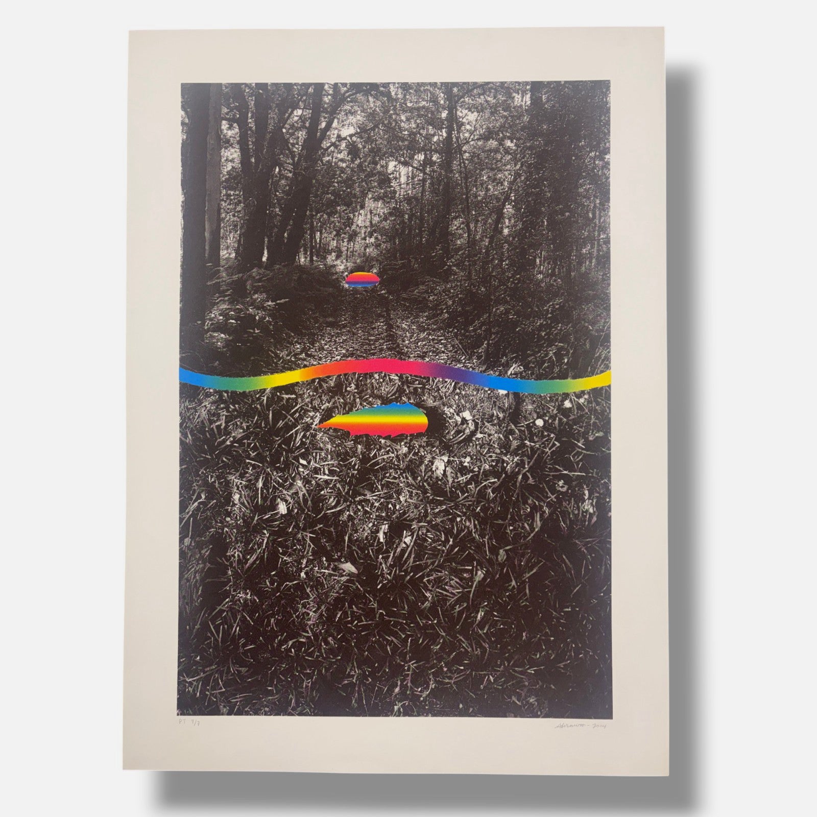 Alberto Carneiro ''Sinais e Sabedoria da Floresta'' P.T Limited Signed Art 82x59