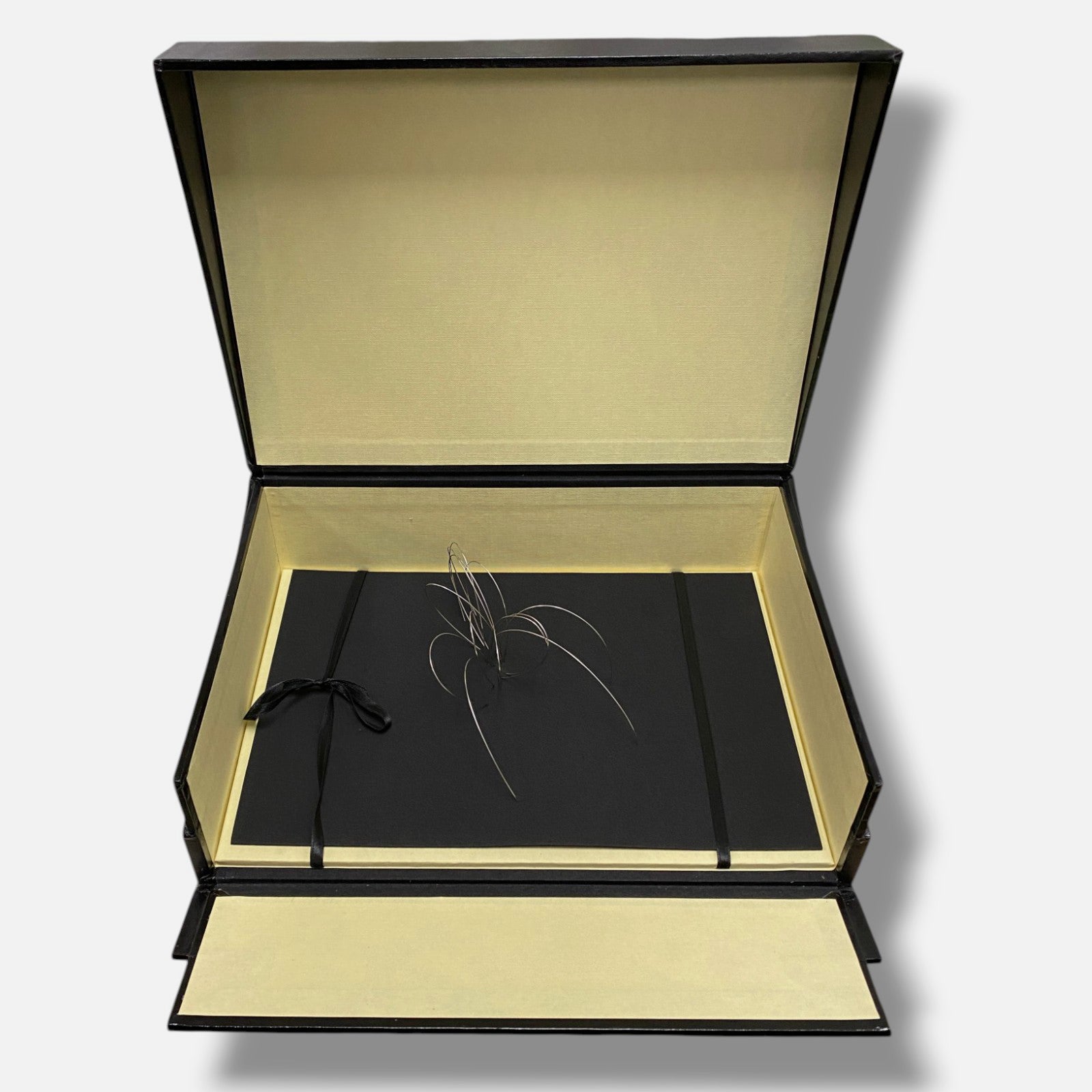 Blanca Muñoz Gonzalo "Alrededores De La Via Lactea I" 2006, Fine Box Art Piece