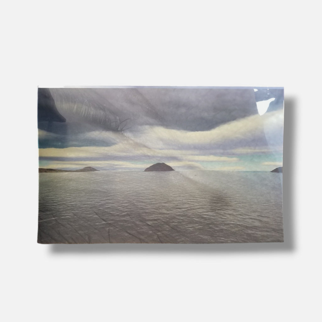 Joan Fontcuberta "Orogenesis: Ojo" 2003 Limited Signed Wall Art