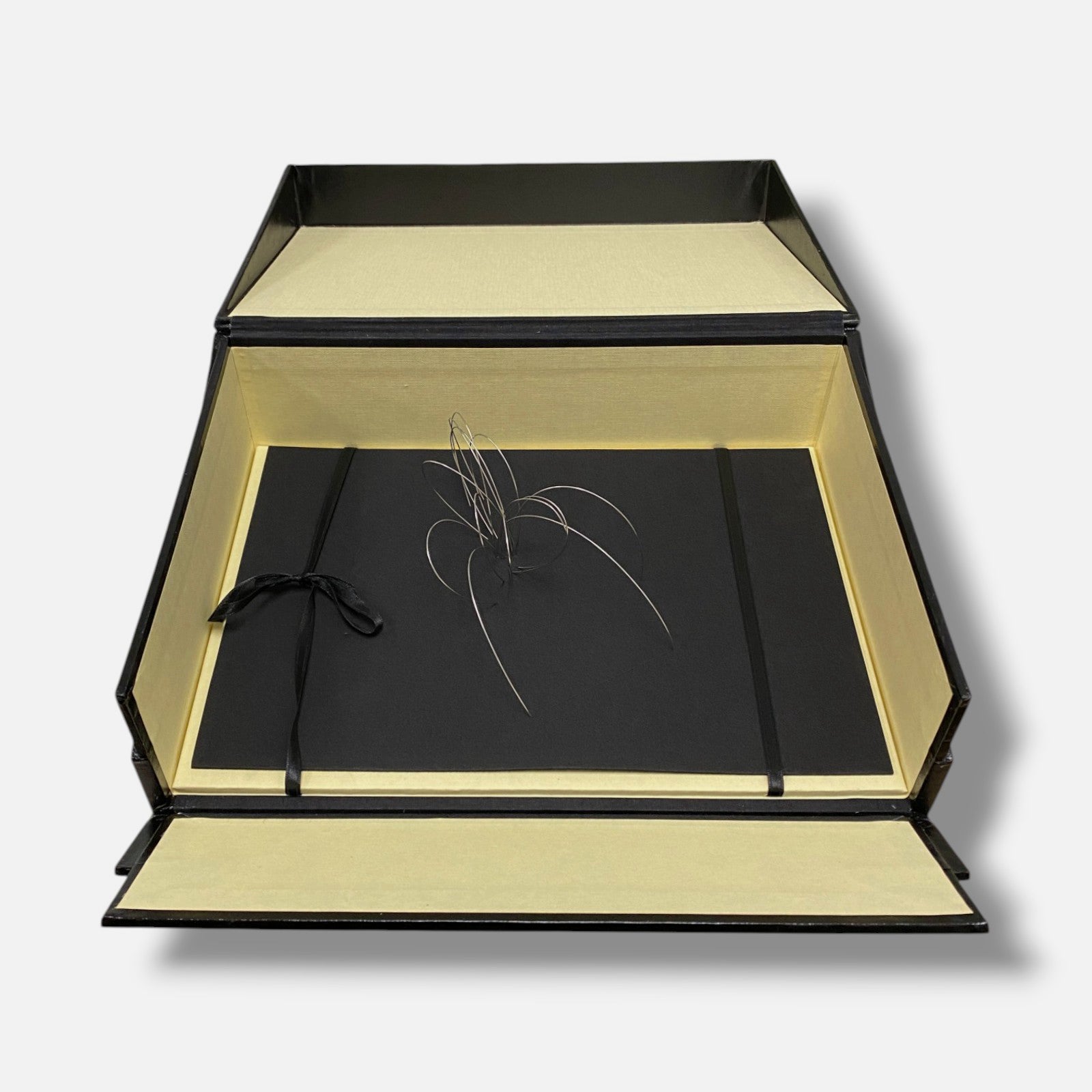 Blanca Muñoz Gonzalo "Alrededores De La Via Lactea I" 2006, Fine Box Art Piece