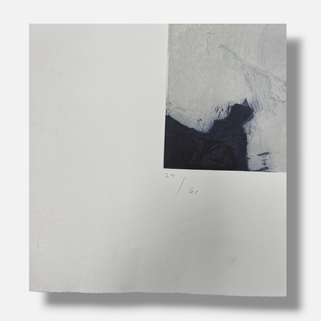 Joaquín Capa Eiriz "Grey Interior" 2000 Limited Signed Fine Wall Art Print