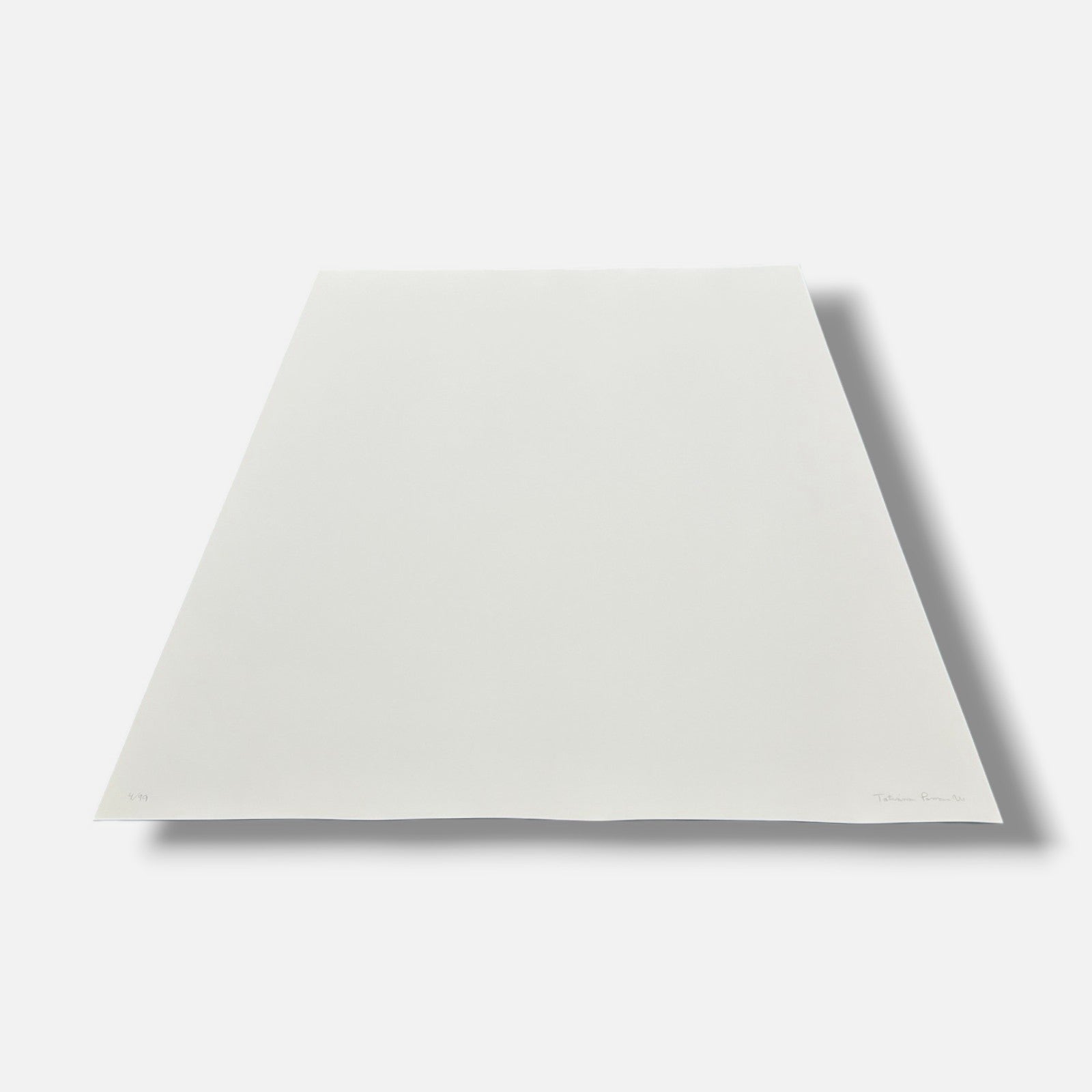 Tatiana Parcero "Re-Invento #2" 2006 Limited Signed Wall Art | 70 x 100 cm