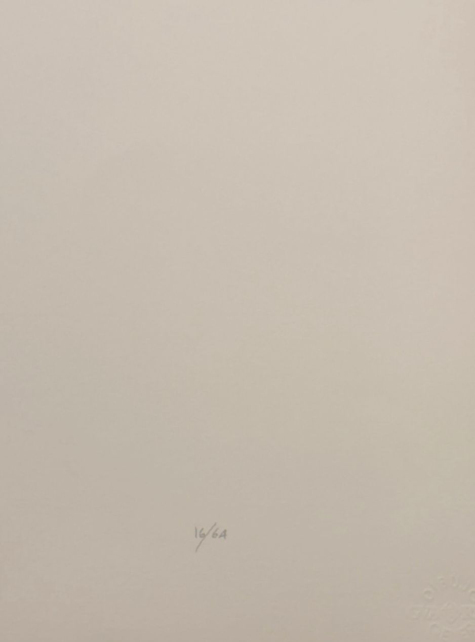 Eduardo Scala "Sin Titulo" /64 Limited Signed Unframed Fine Wall Art, 65Lx65W cm