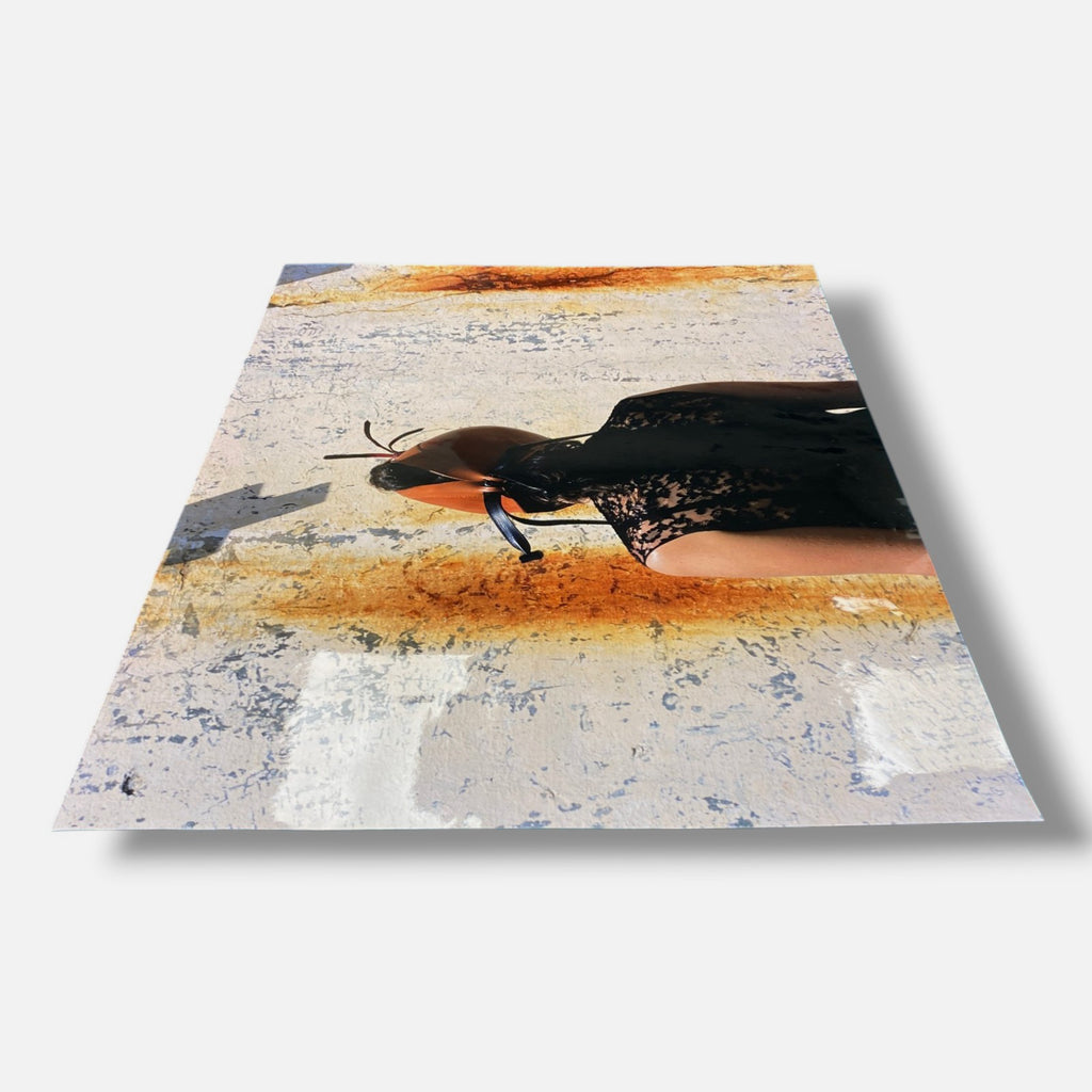 Linarejos Moreno "Aves de Presa III" Large Fine Photography Wall Art | 28 x 35"