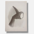 Marta María Pérez Bravo "Ver Y Creer" P.T. 2003 Signed Limited Wall Art, 70Lx50W