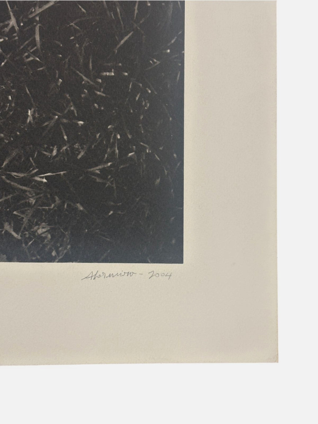 Alberto Carneiro ''Sinais e Sabedoria da Floresta'' P.T Limited Signed Art 82x59