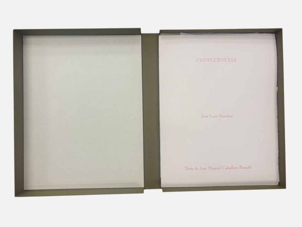 José Luis Sánchez "Confluencias" 2001 Limited Signed Wall Art Set 65L x 50W cm