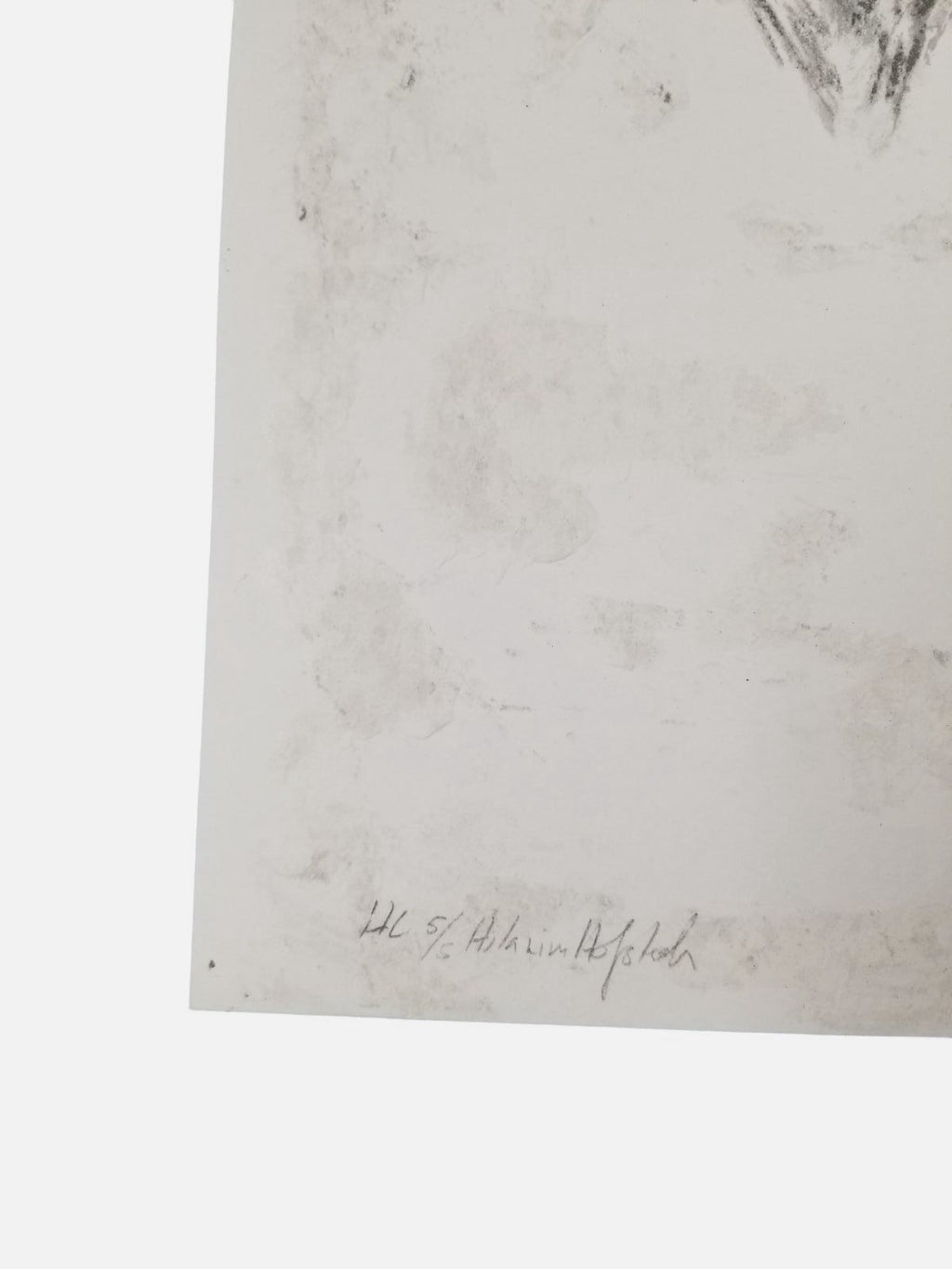 Hilarius Hofstede "Bison Dub" 2006 H.C. Limited Signed Wall Art Print