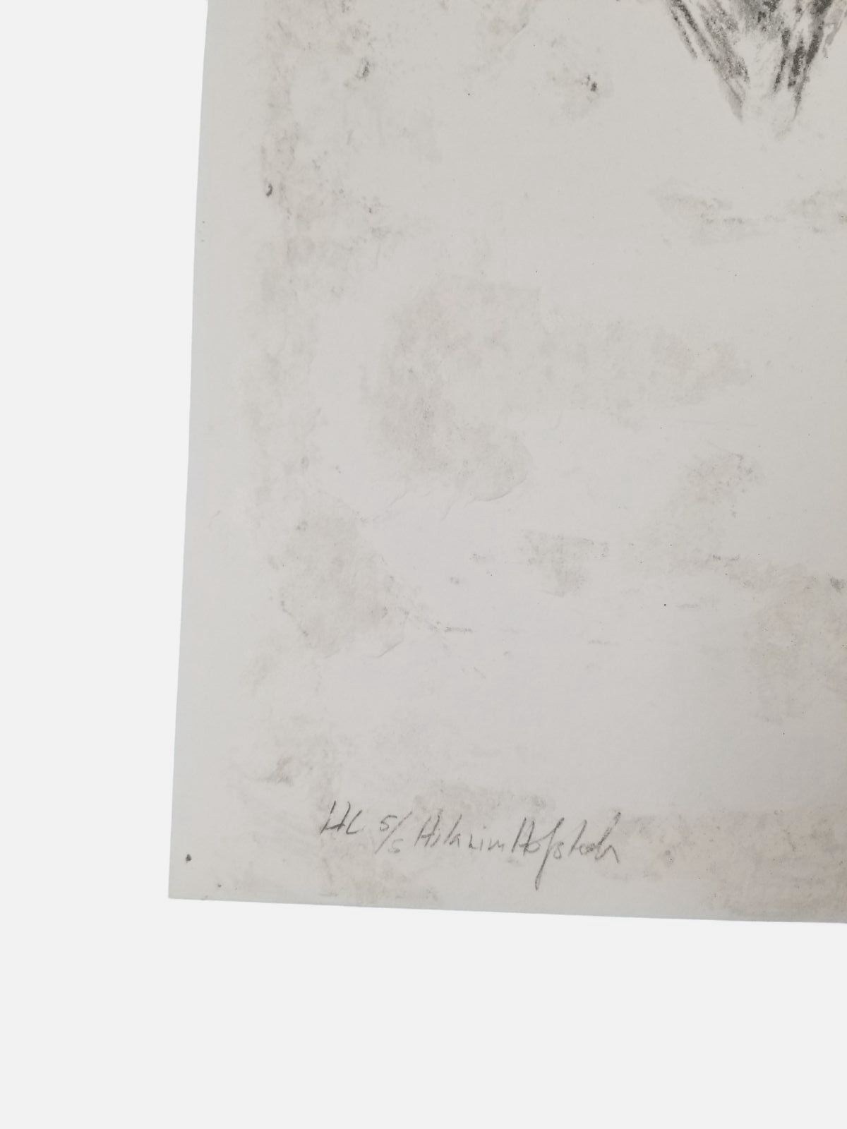 Hilarius Hofstede "Bison Dub" 2006 H.C. Limited Signed Wall Art Print