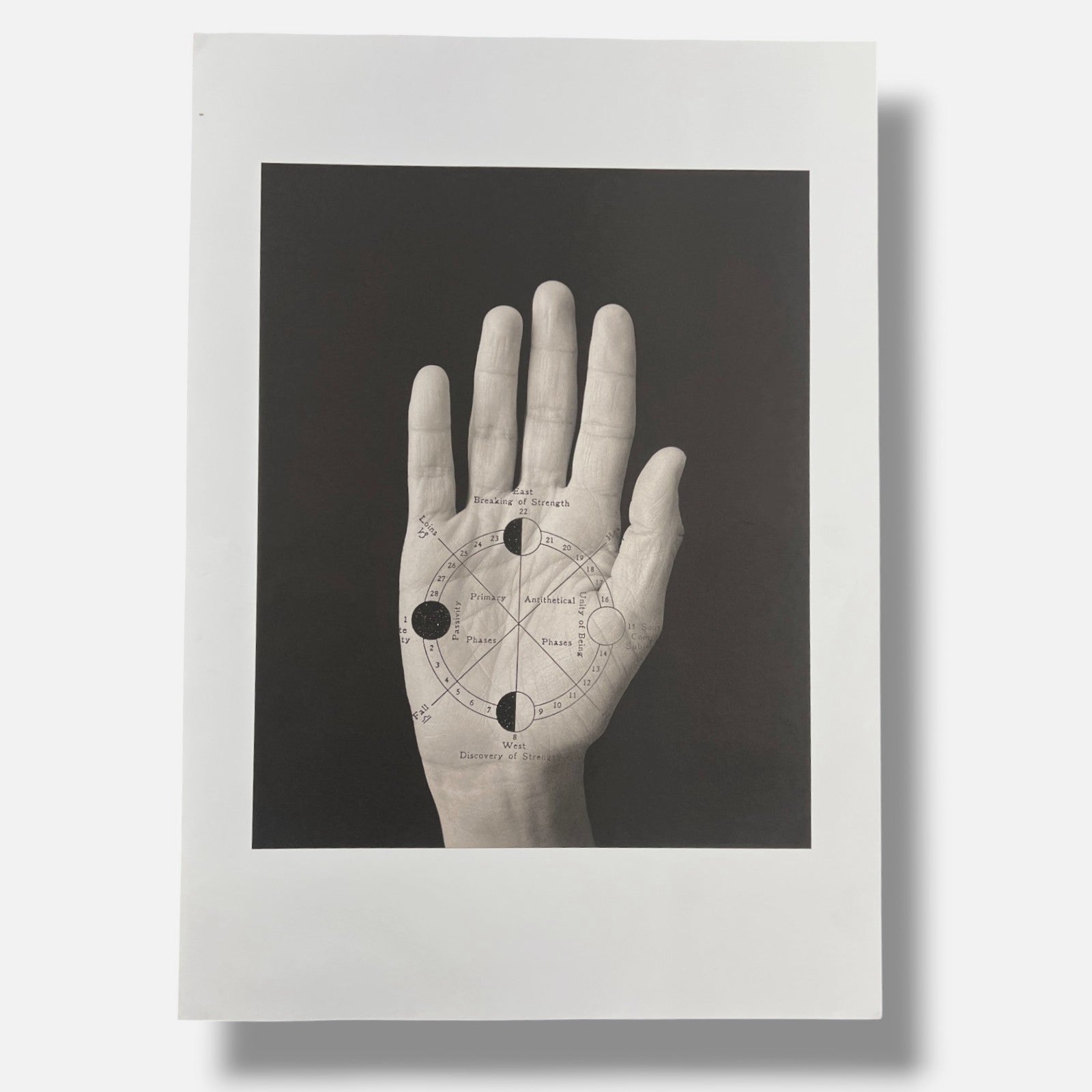 Tatiana Parcero "Re-Invento #15" 2006 Limited Signed Wall Art | 70 x 100 cm