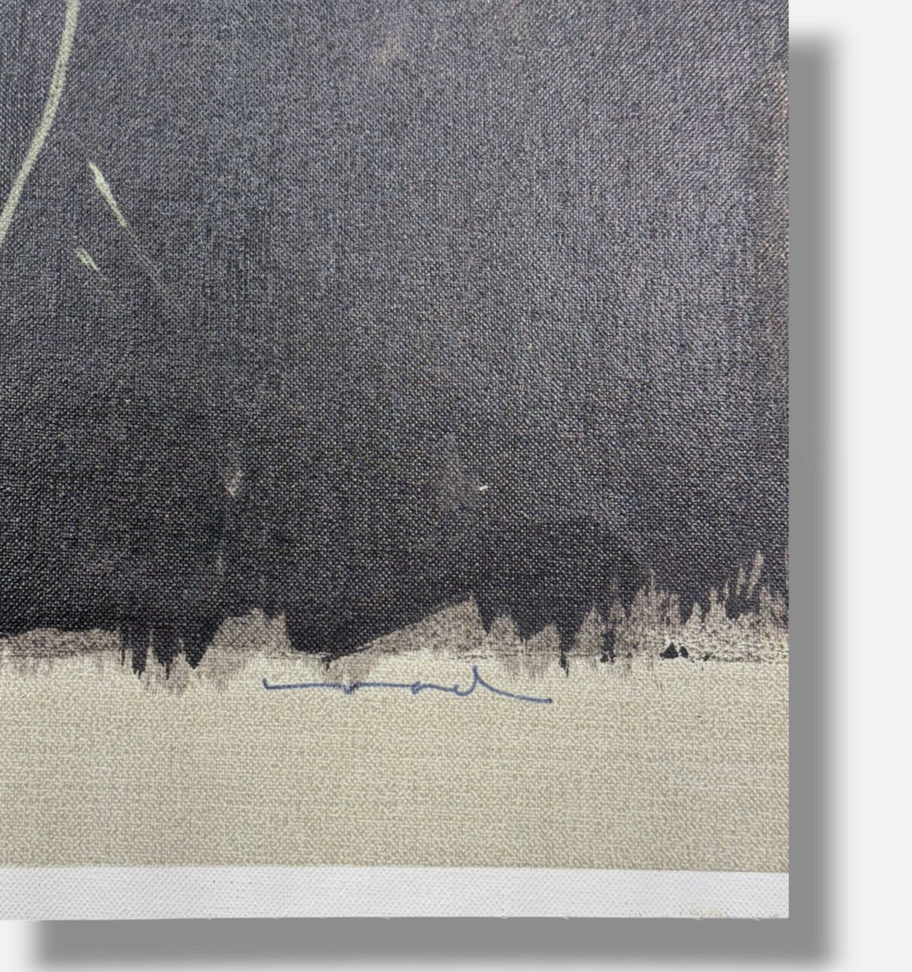 David Israel Pérez Aznar "S/T I" /75 2001 Limited Signed Fine Wall Art 73Lx54Wcm