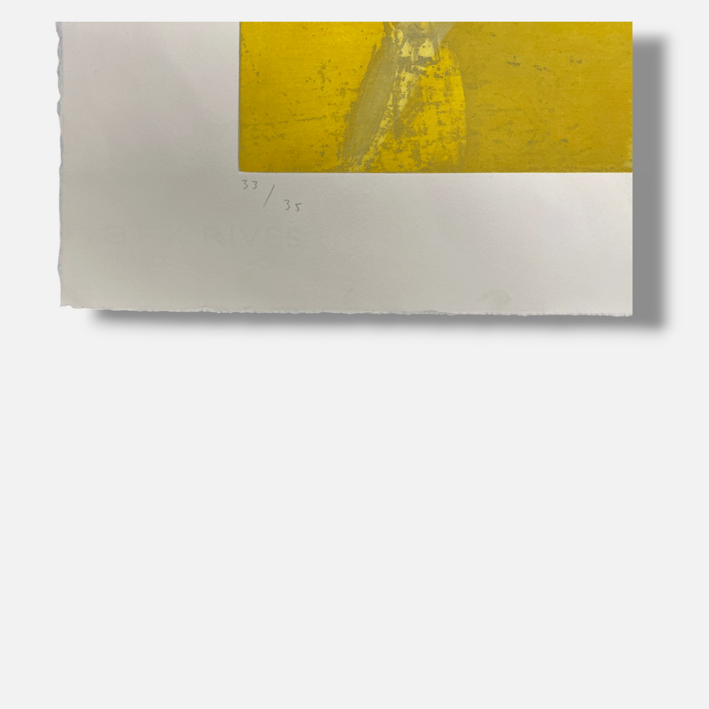 Joaquín Capa Eiriz "Yellow" Limited Signed Fine Wall Art Print, 73L x 50W cm