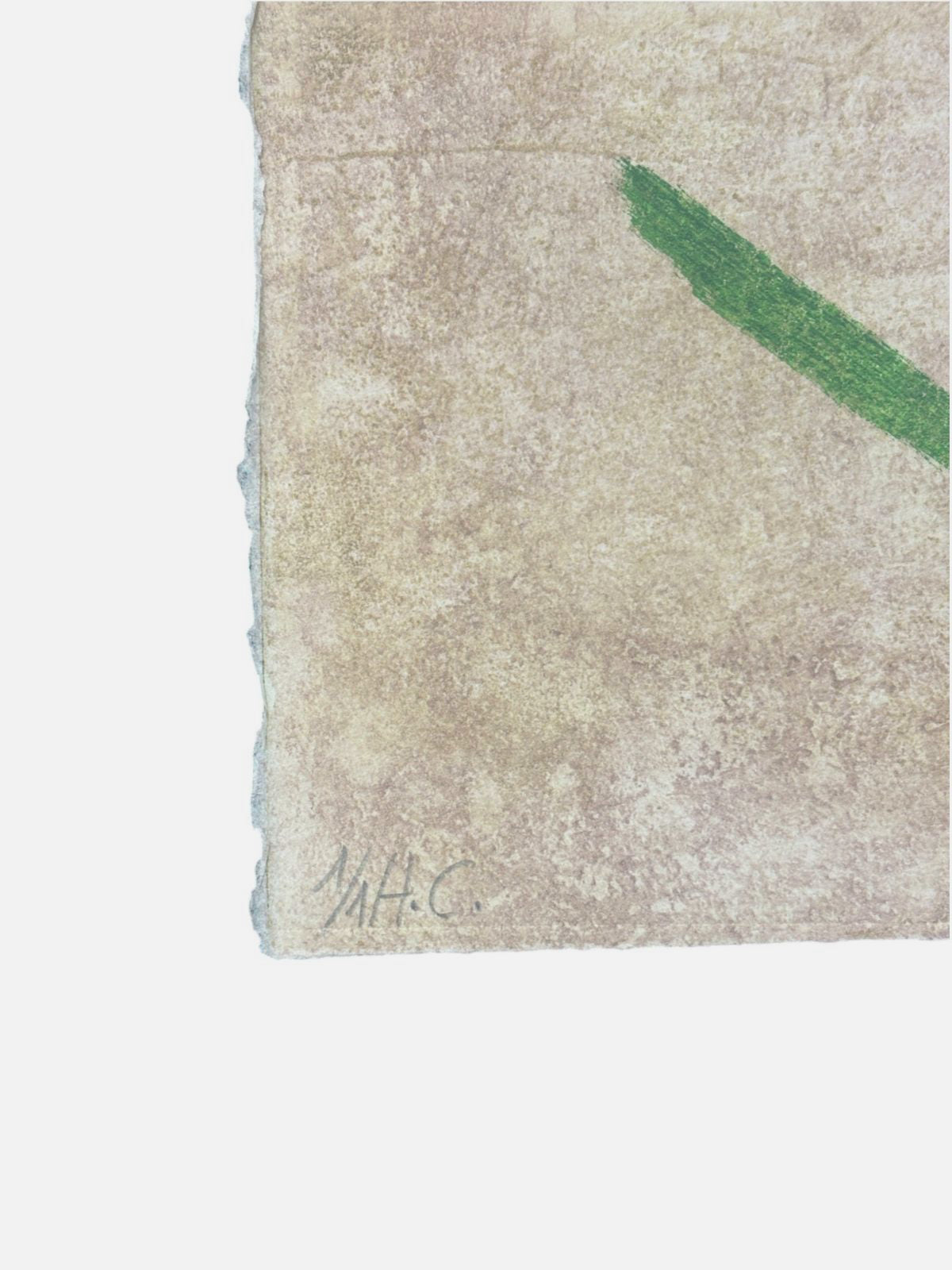 Albert Ràfols-Casamada "Horta" H.C. 2004 Limited Signed Wall Art Print 50x65 cm