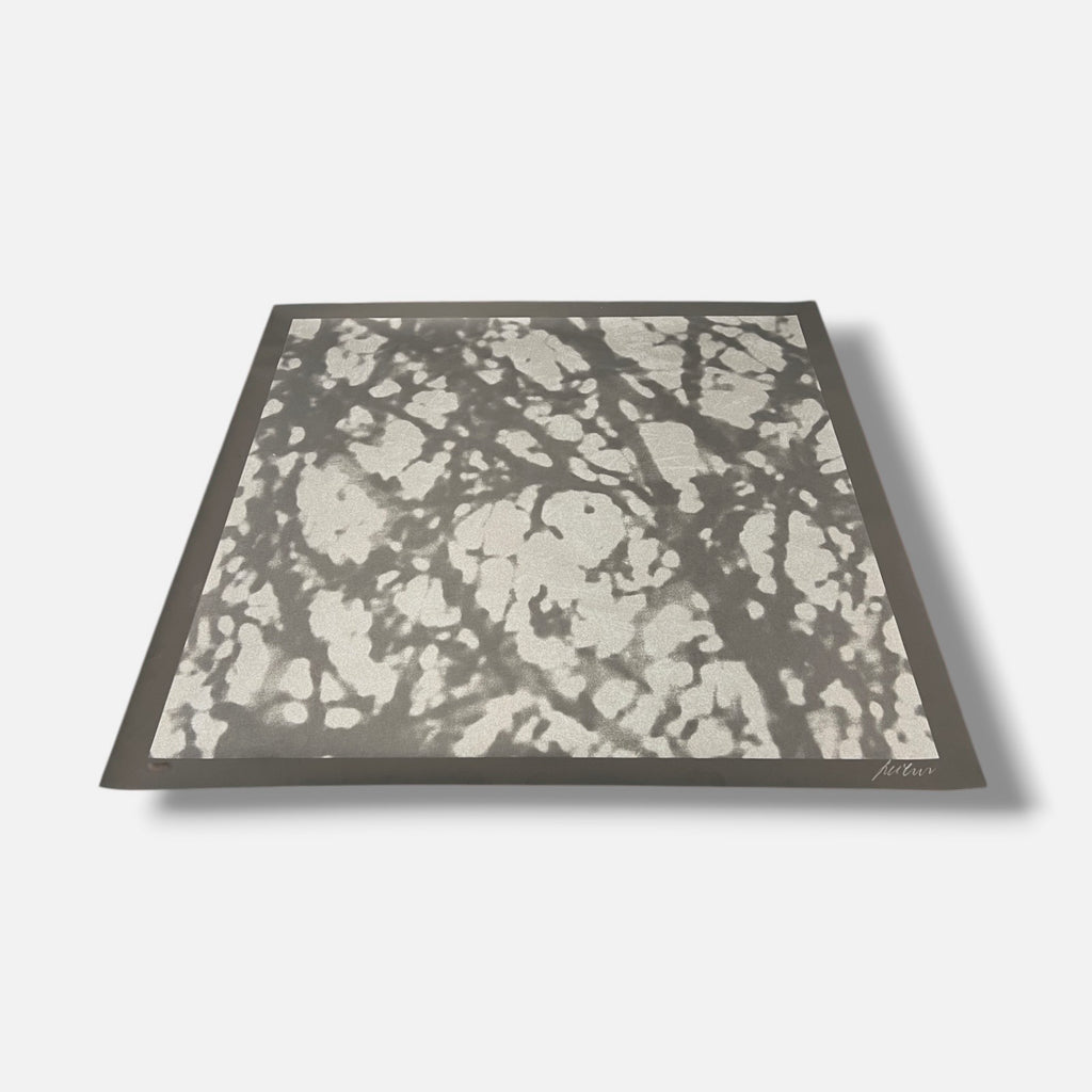 Ángeles San José "Black Trees" 2006 Limited Signed Wall Art, 80 x 80 cm