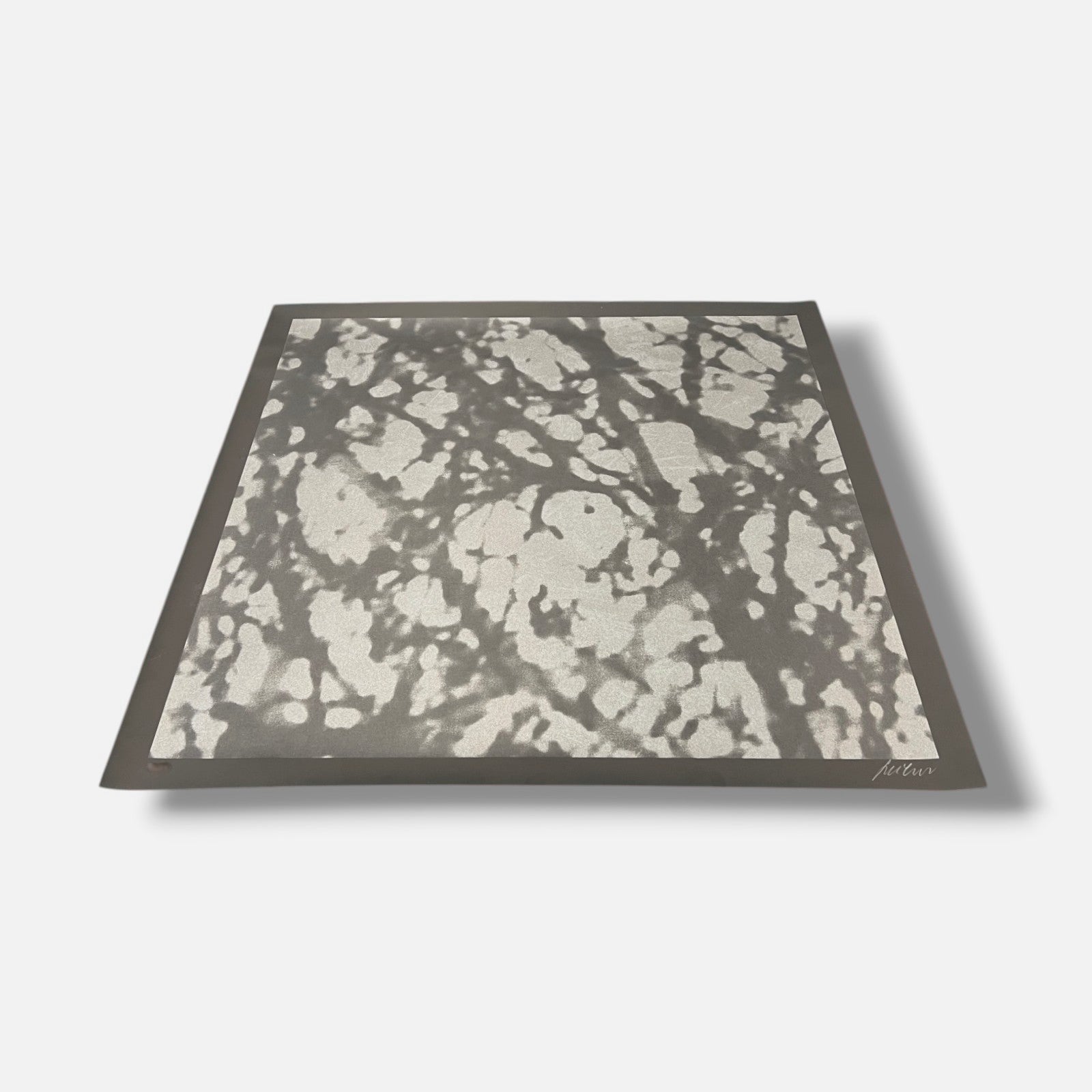 Ángeles San José "Black Trees" 2006 Limited Signed Wall Art, 80 x 80 cm