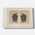 Carlos Capelán "Mascaras" Limited Signed Fine Wall Art / 50 x 34 cm