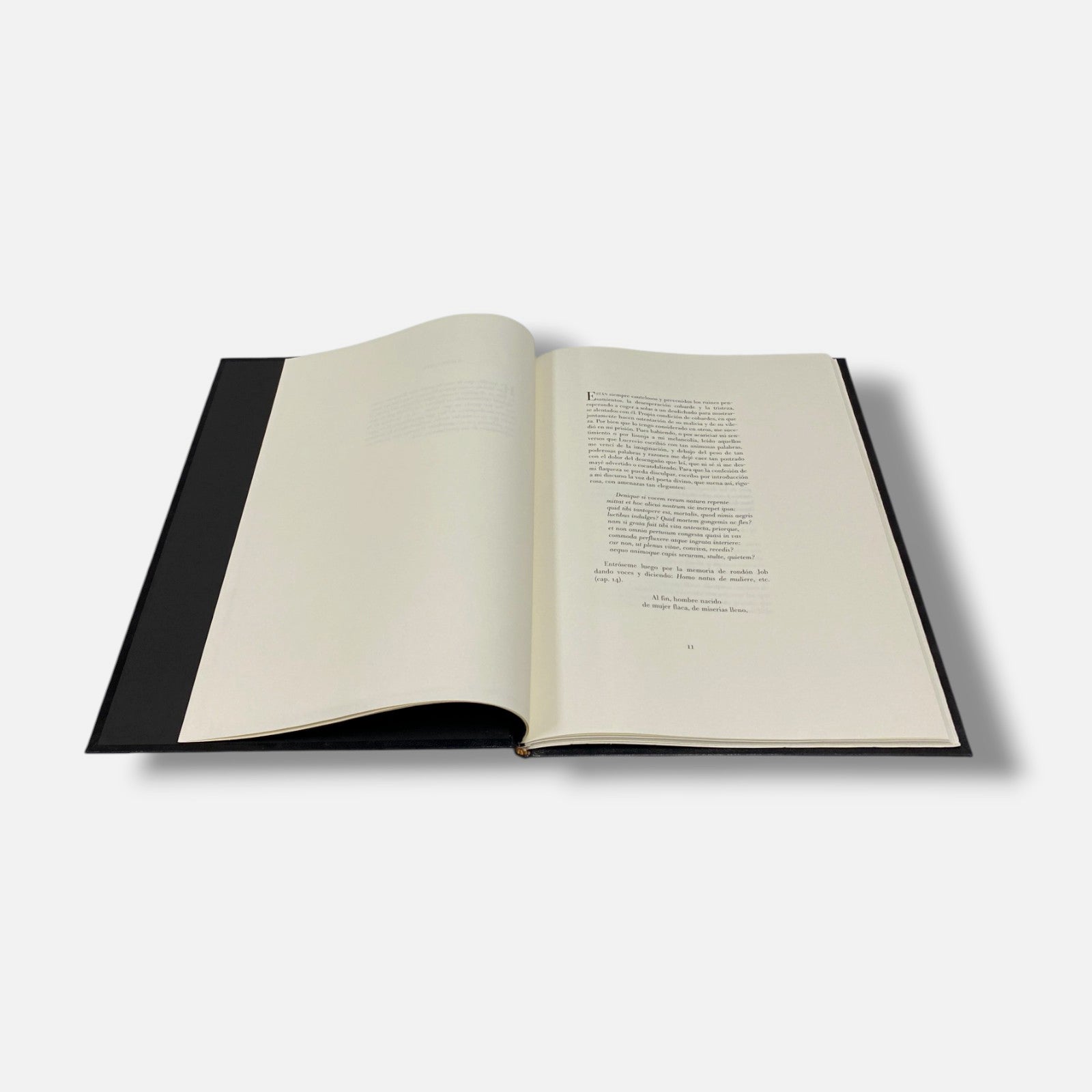 Sergio Hernández "Sueño De La Muerte" 9-Piece Fine Art Book Set | 56.5 x 76 cm