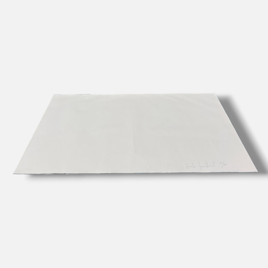Jordi Guillumet Anes "S/T 1" 2006, Large Photography Wall Art | 80 x 120 cm
