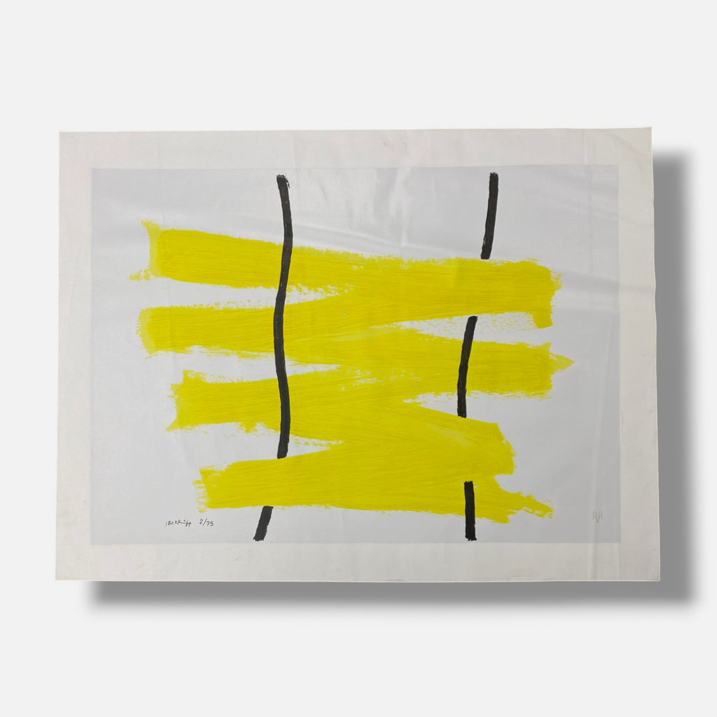 Agustín Ibarrola "Amerillo" 2001 Limited Signed Wall Art | 72 x 100 cm
