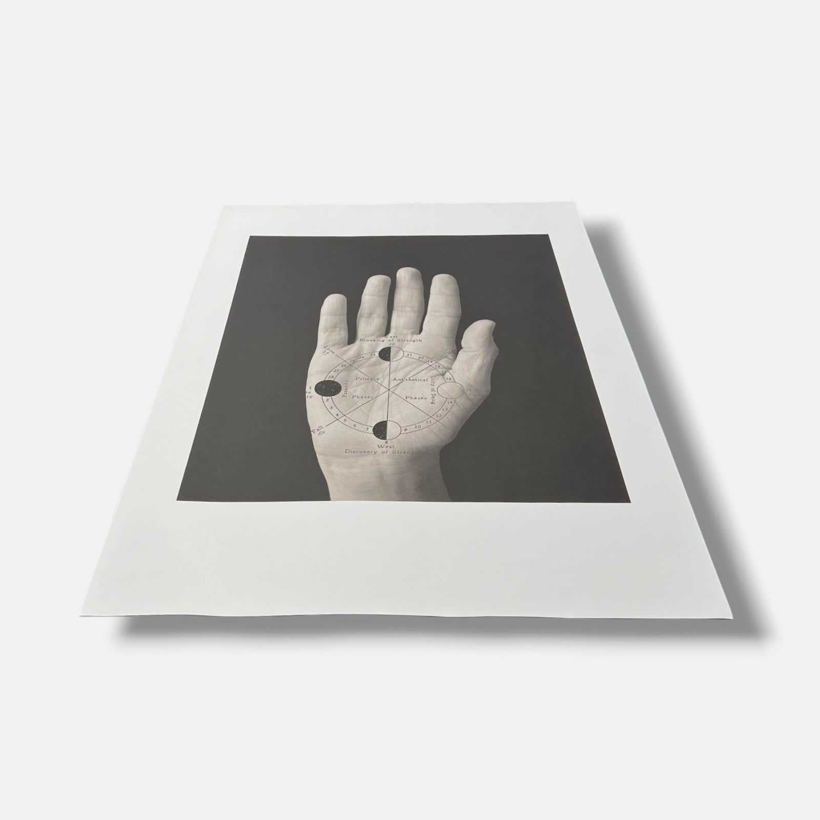 Tatiana Parcero "Re-Invento #15" 2006 Limited Signed Wall Art | 70 x 100 cm
