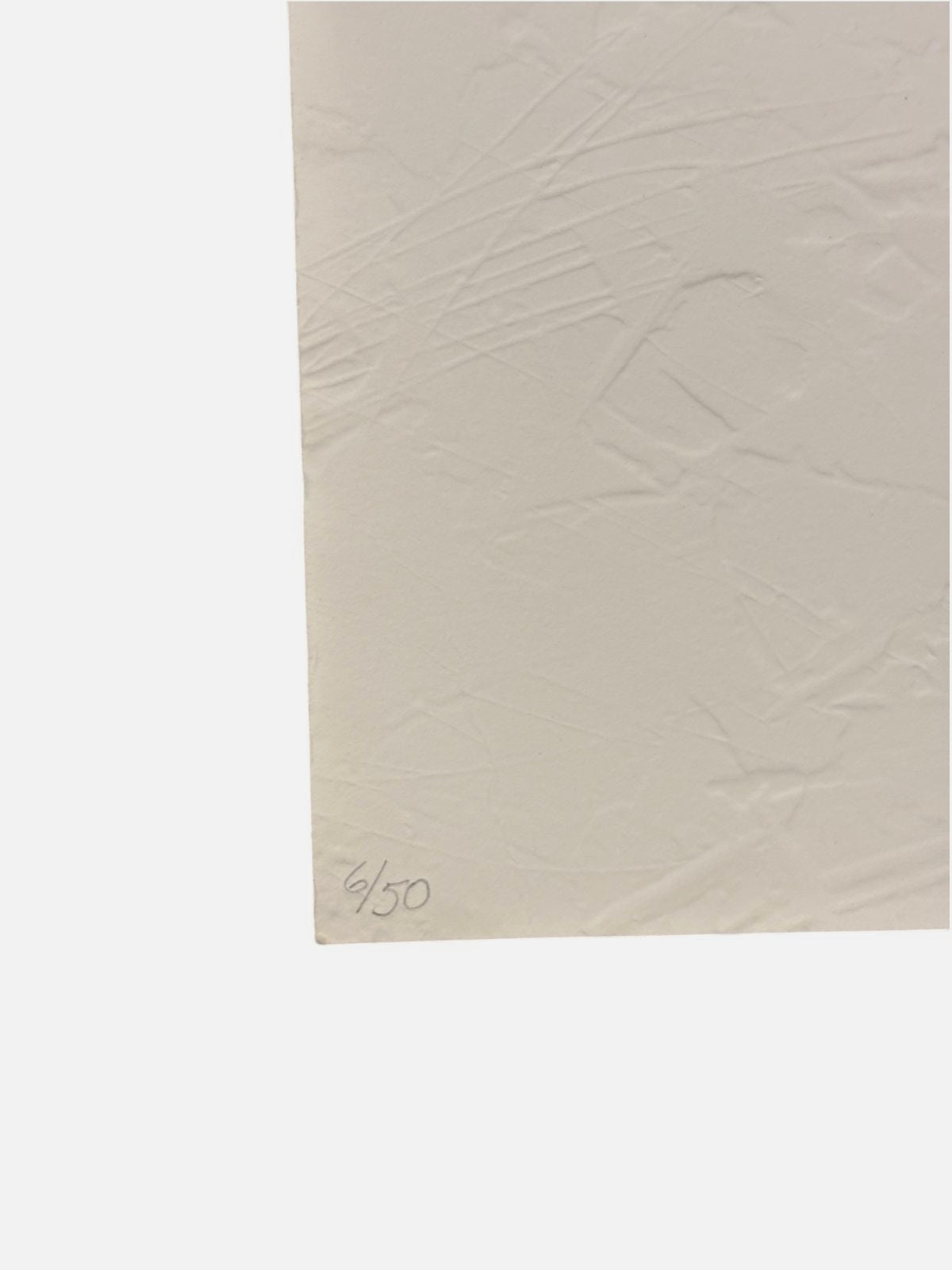 Henry Ramírez Ayala "Salamandras" 1999 /50 Limited Signed Fine Wall Art, 35Lx50W