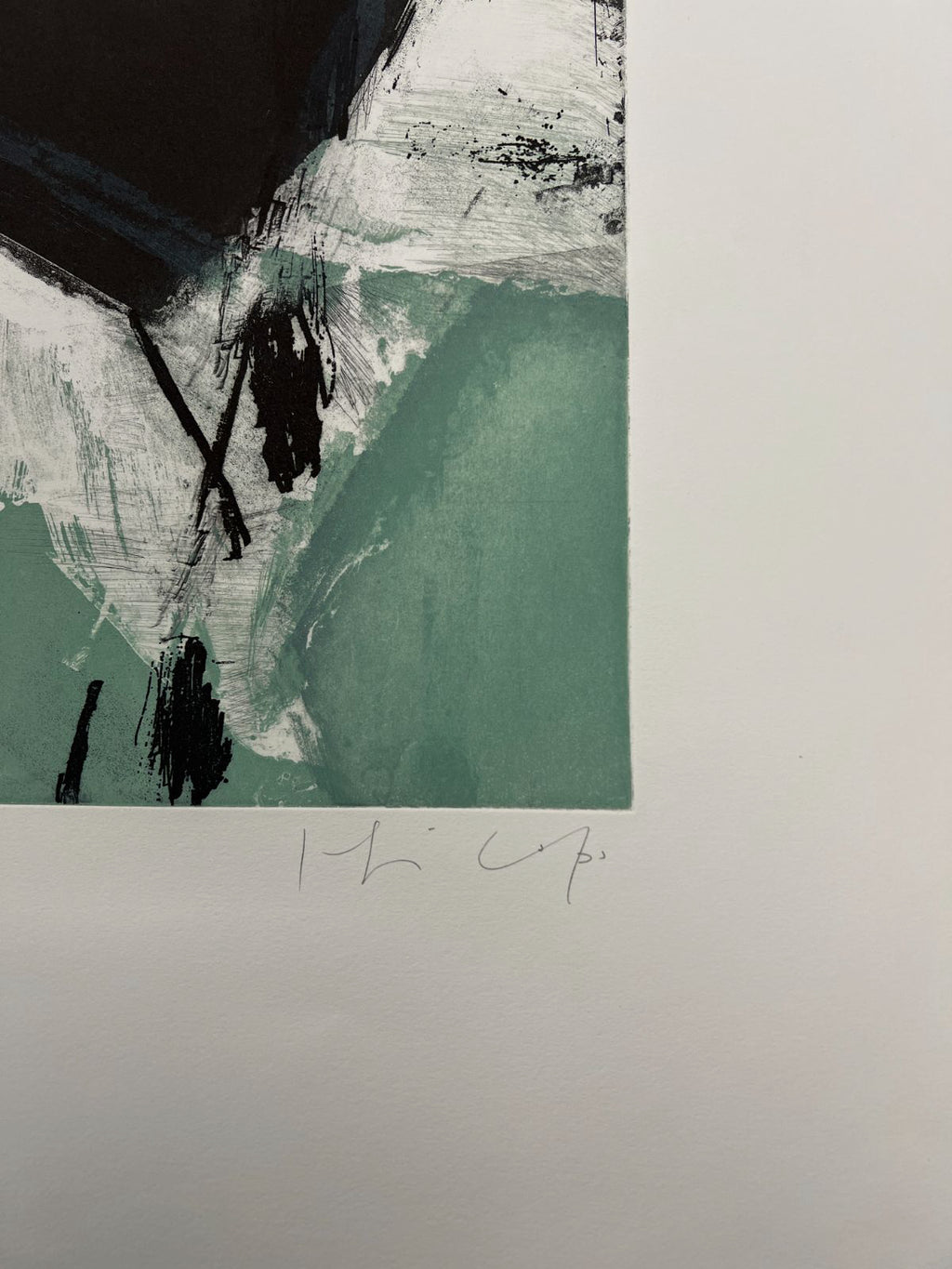Joaquín Capa Eiriz "Colors + Green " /65 Limited Signed Fine Wall Art 56Lx76W cm