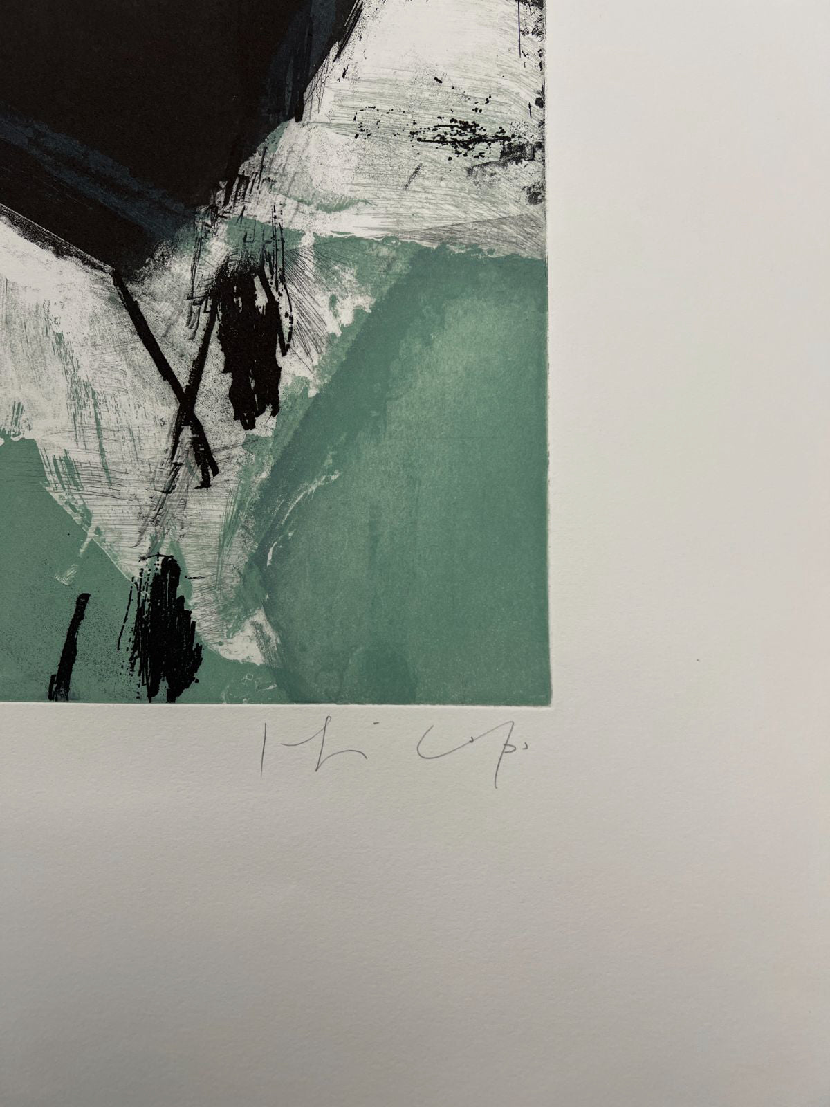 Joaquín Capa Eiriz "Colors + Green " /65 Limited Signed Fine Wall Art 56Lx76W cm