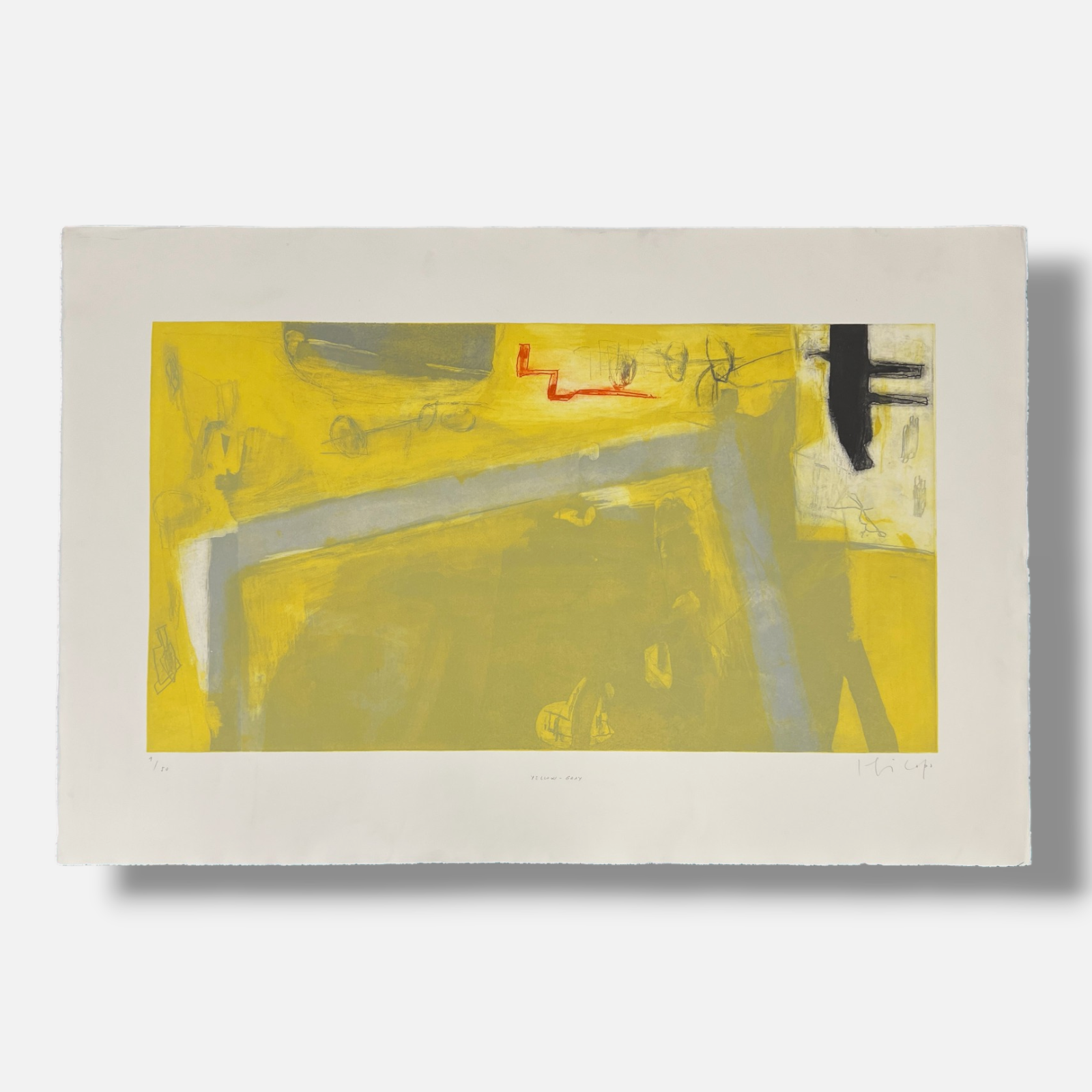 Joaquín Capa Eiriz "Yellow Grey" Limited Signed Fine Wall Art Print