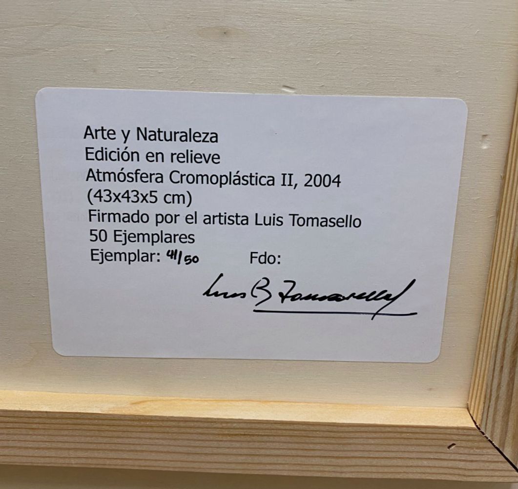 Luis Tomasello "Atmósfera Cromoplástica II" Signed Fine Wall Art | 16.9 x 16.9"