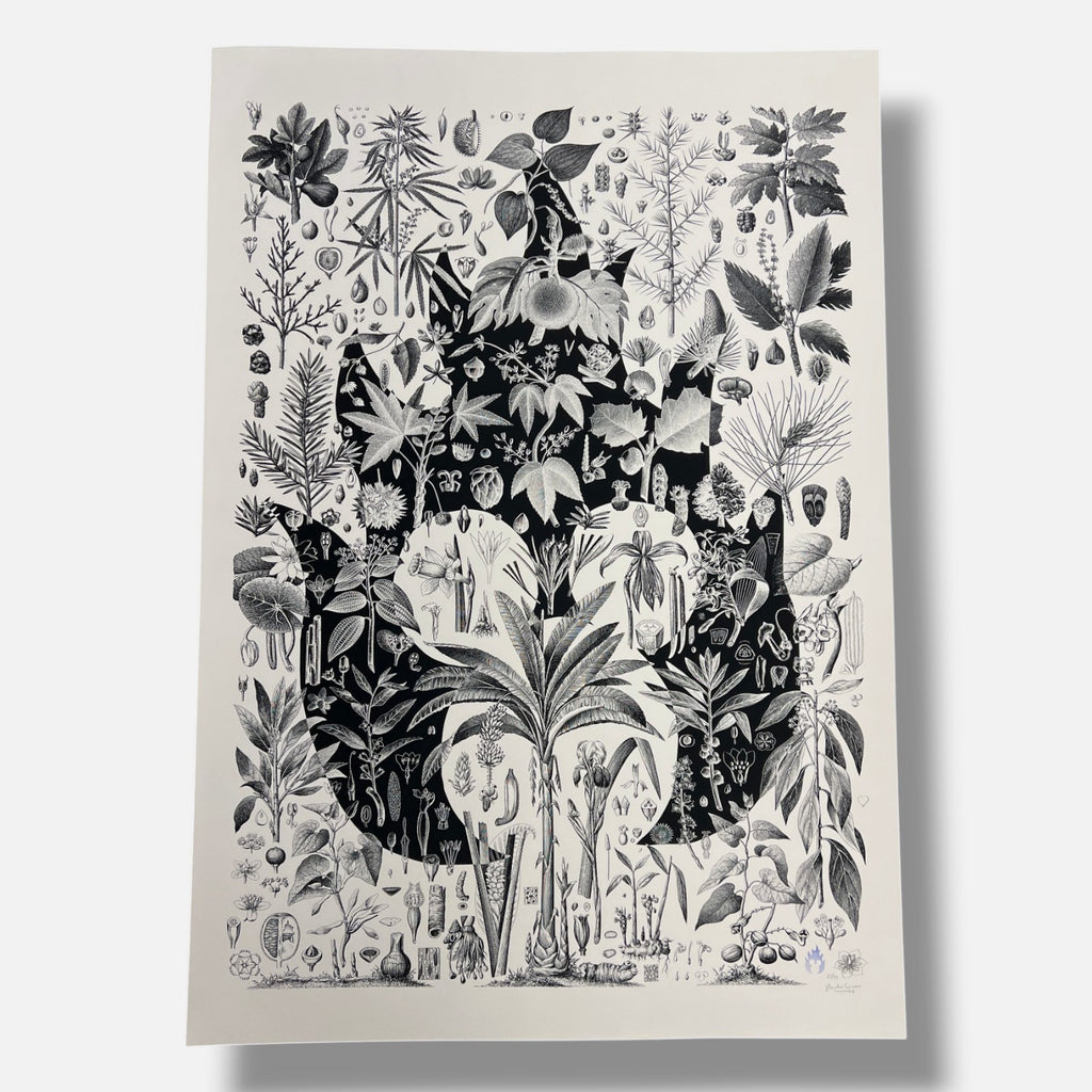 Pedro Oliver "Naturmikifoc" 2006 Limited Signed Wall Art | 116 x 76 cm