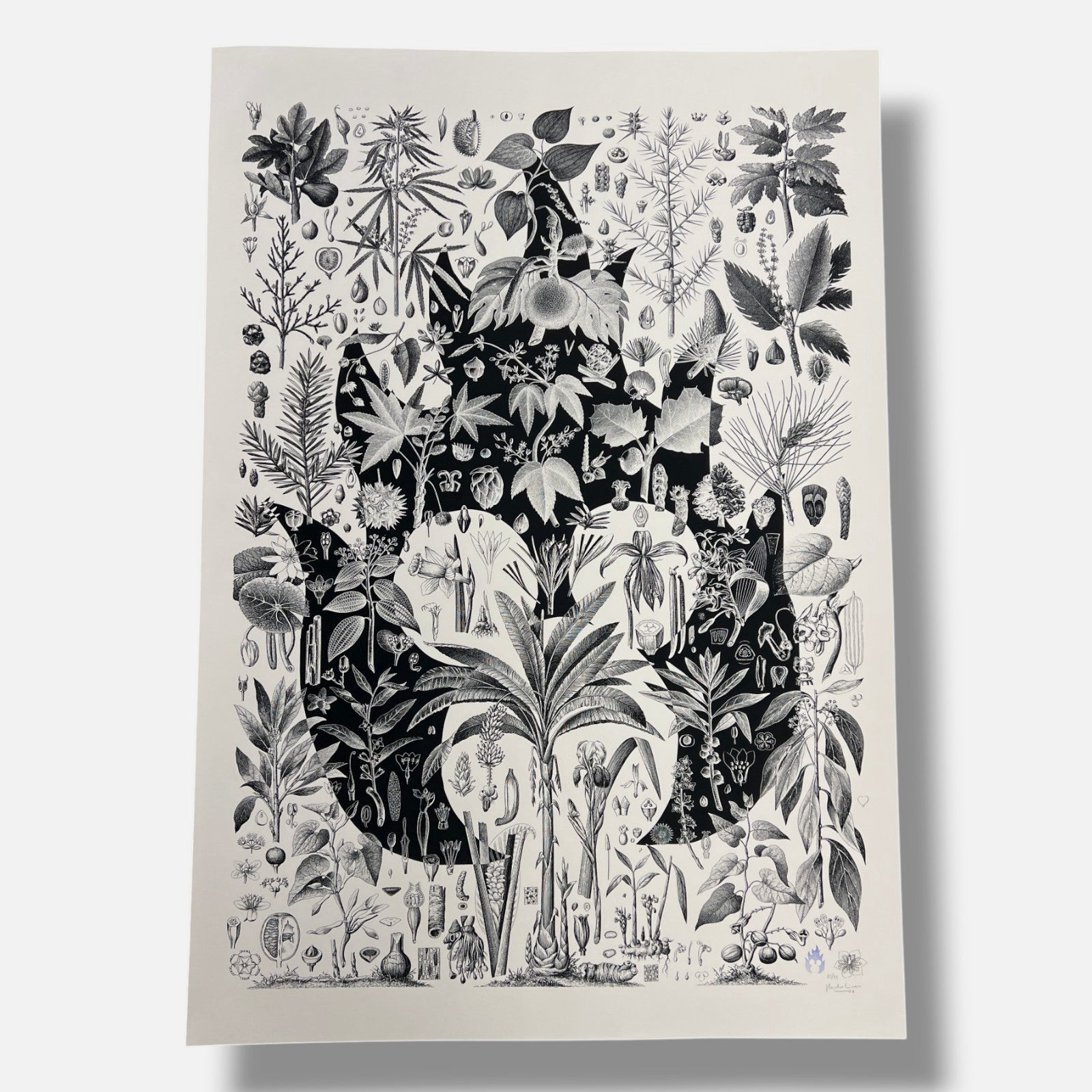 Pedro Oliver "Naturmikifoc" 2006 Limited Signed Wall Art | 116 x 76 cm