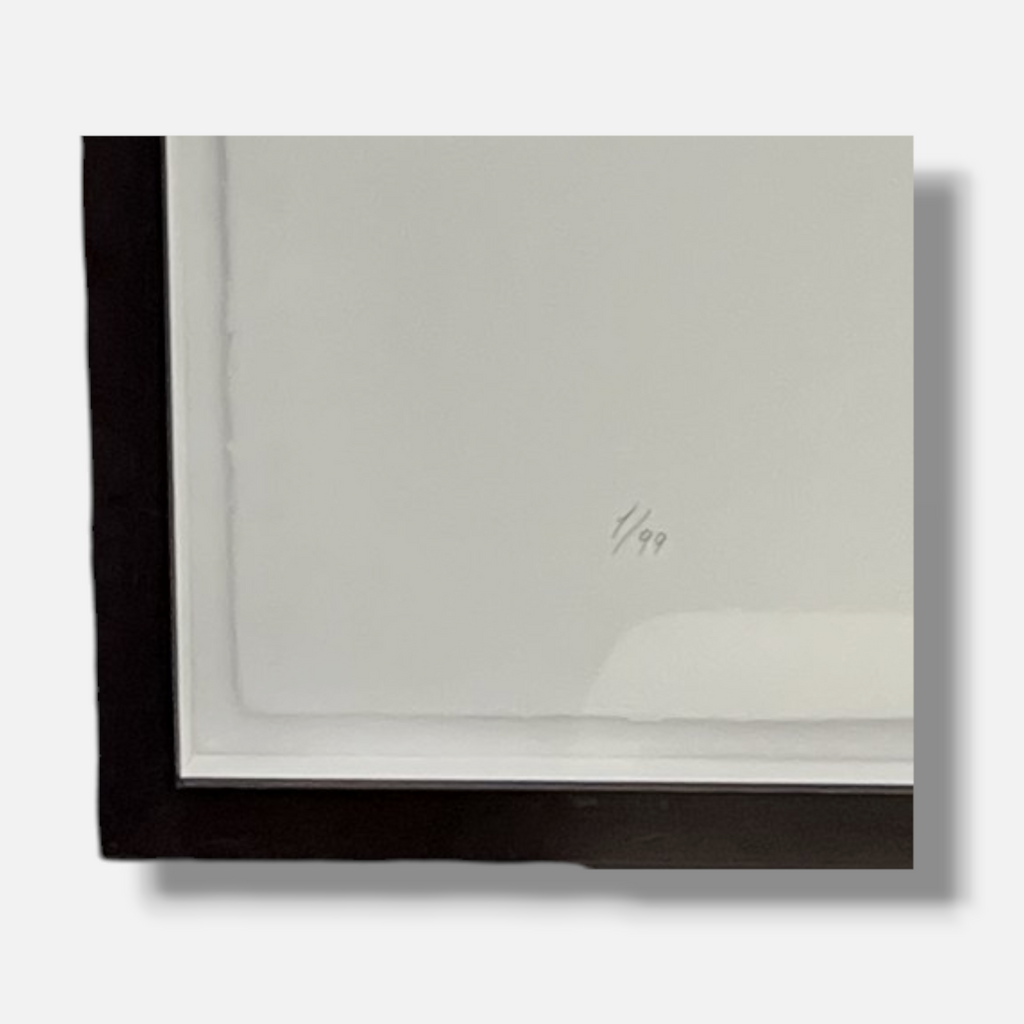 Tamara Zaitseva "Estructura Inversa I",2004 Limited Signed Fine Framed Wall Art