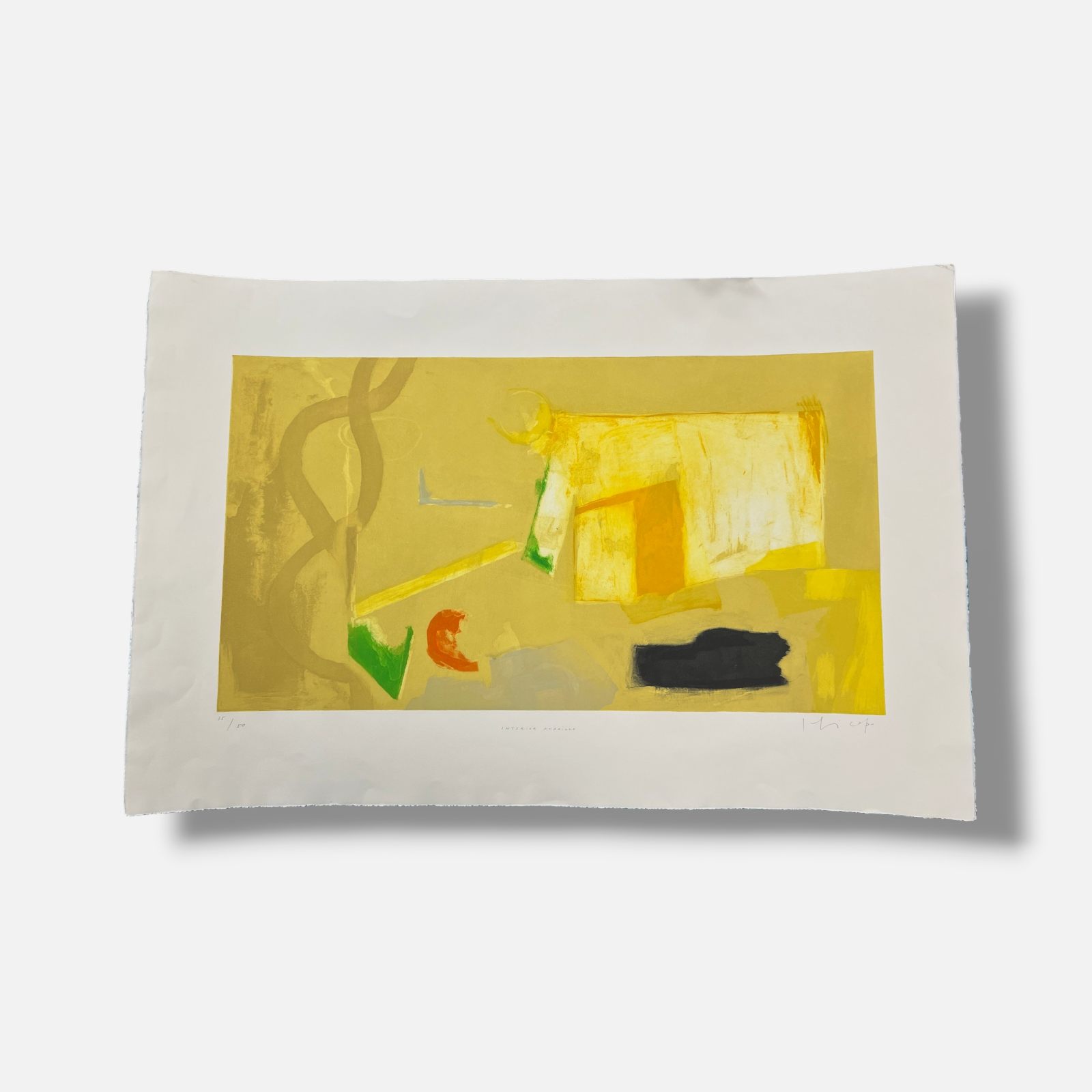 Joaquín Capa Eiriz "Interior Amarillo" Limited Signed Fine Wall Art Print