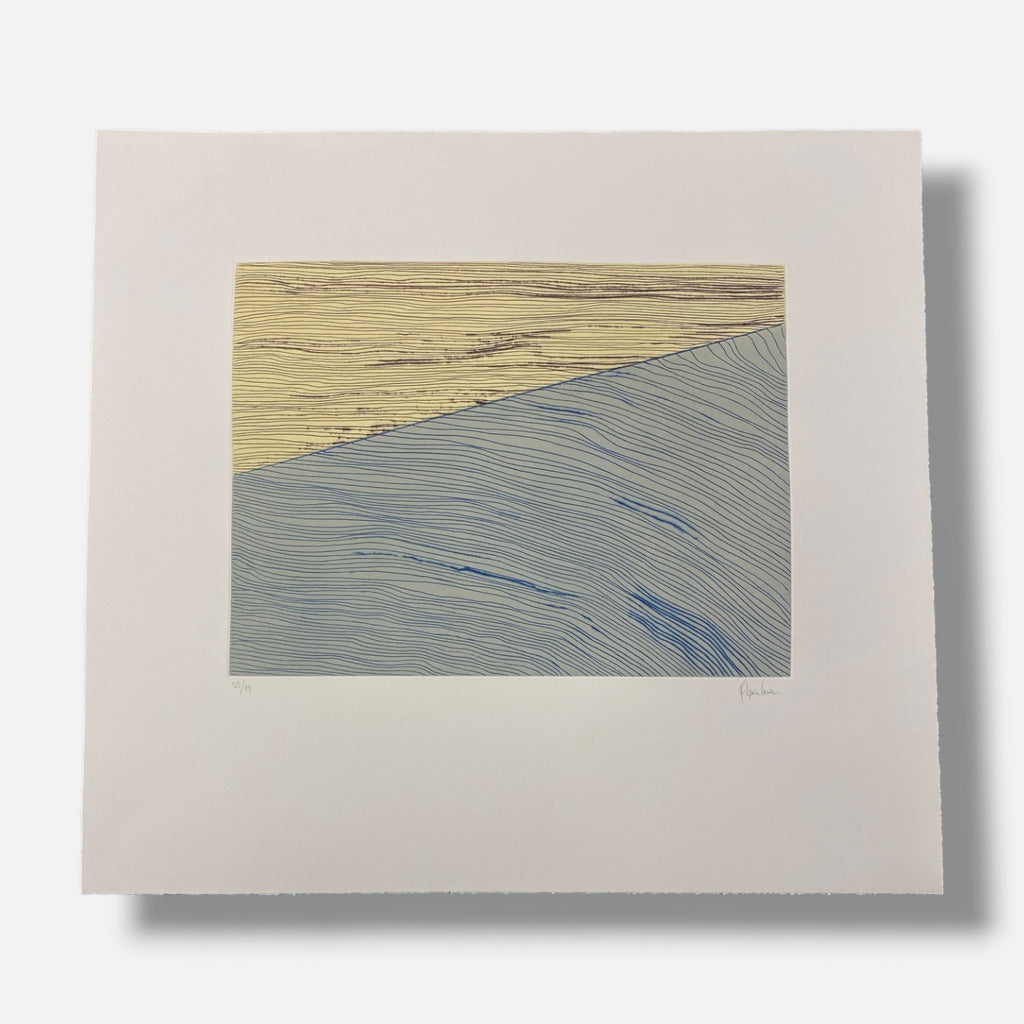 Boris Viskin "Abstraccion y Naturaleza" 2005, Fine Wall Art Print 6-Piece Set