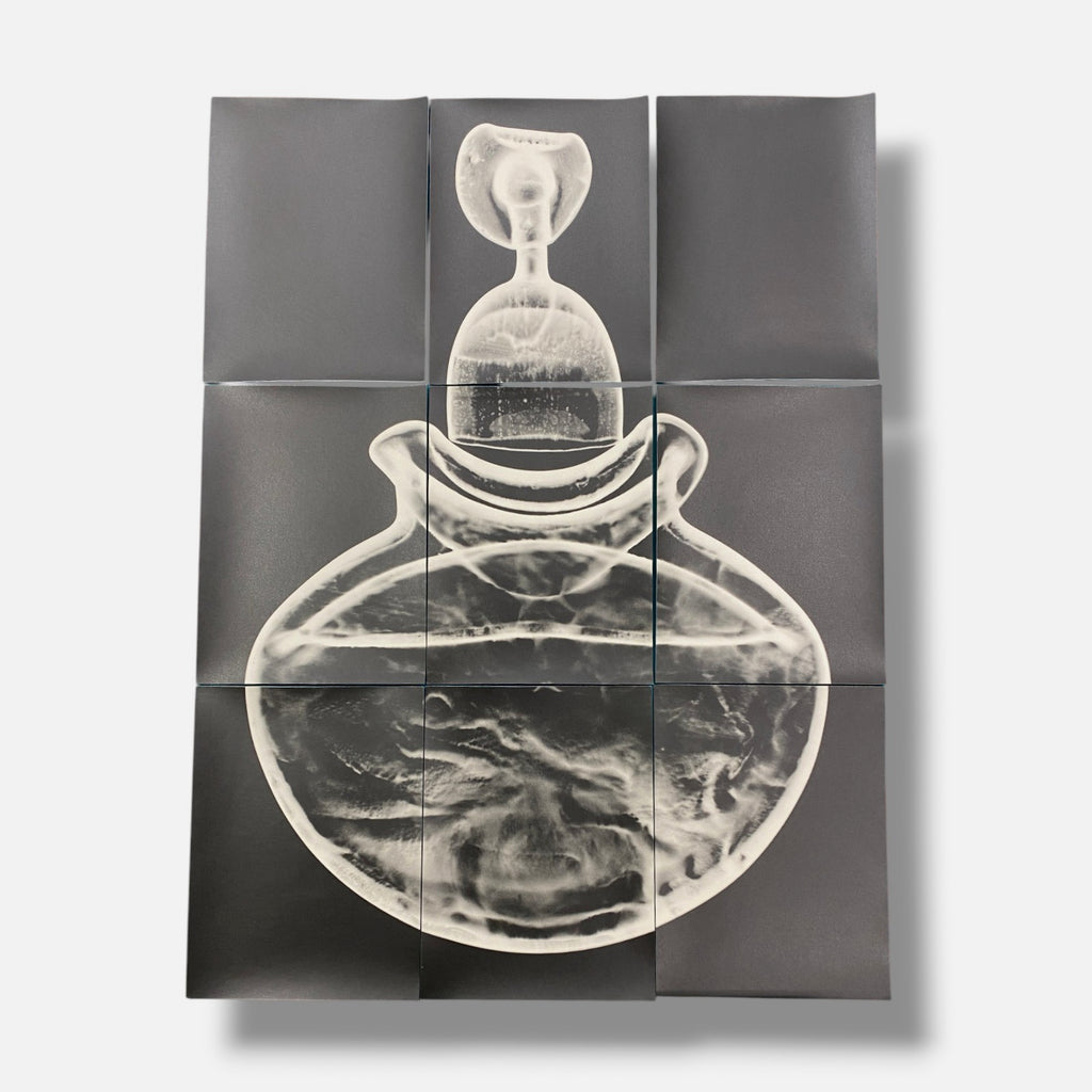Sylvie Bussières "Sèrie Inutiles de Cristal" Foto No.3 Photogram Mural Wall Art