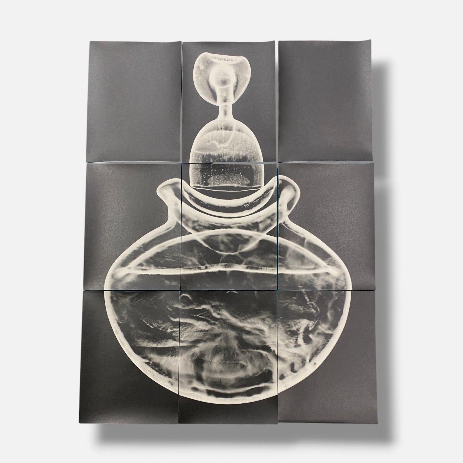 Sylvie Bussières "Sèrie Inutiles de Cristal" Foto No.3 Photogram Mural Wall Art