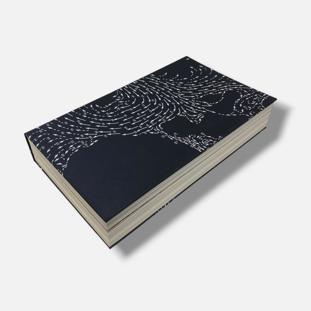 Sylvie Bussières "Geo-zapatos" 2005 Fine Art Print & Book Set