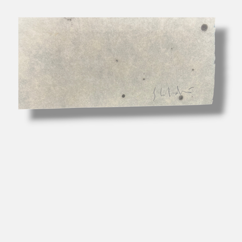 Fernando Sánchez Calderón "Mapa De Lejos" P.T. Signed Limited Wall Art