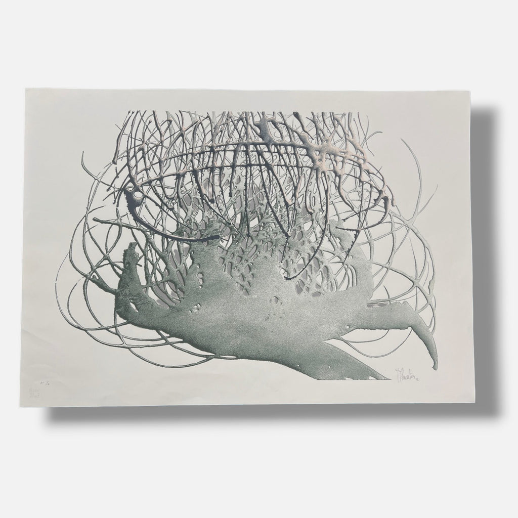 José Fuentes Esteve "Morfologia vegetal I" 2002 P.T. Signed Limited Wall Art