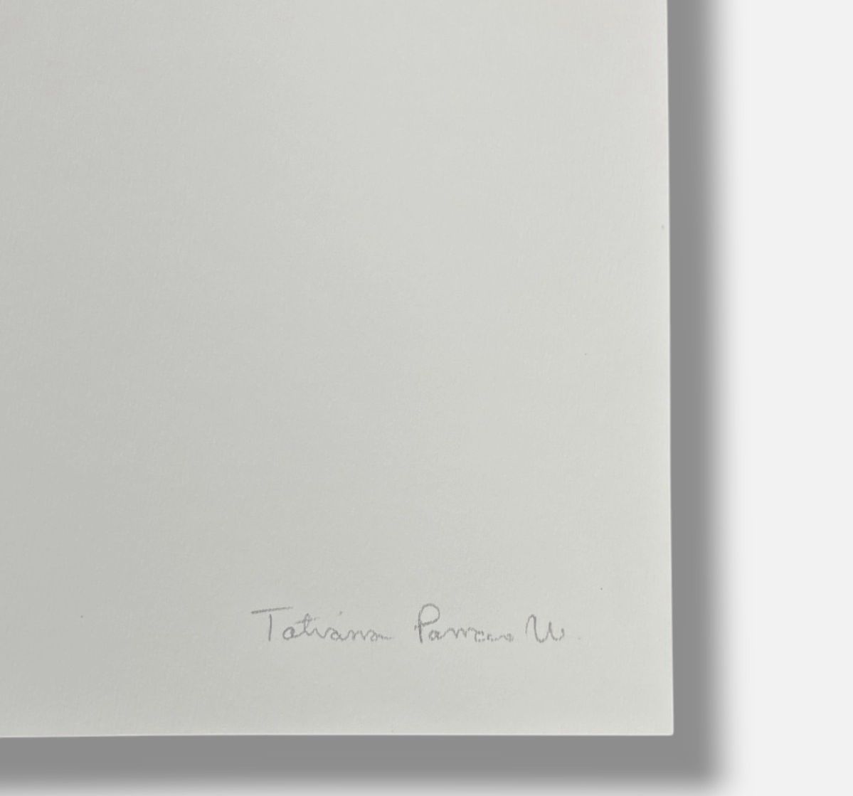 Tatiana Parcero "Re-Invento #2" 2006 Limited Signed Wall Art | 70 x 100 cm