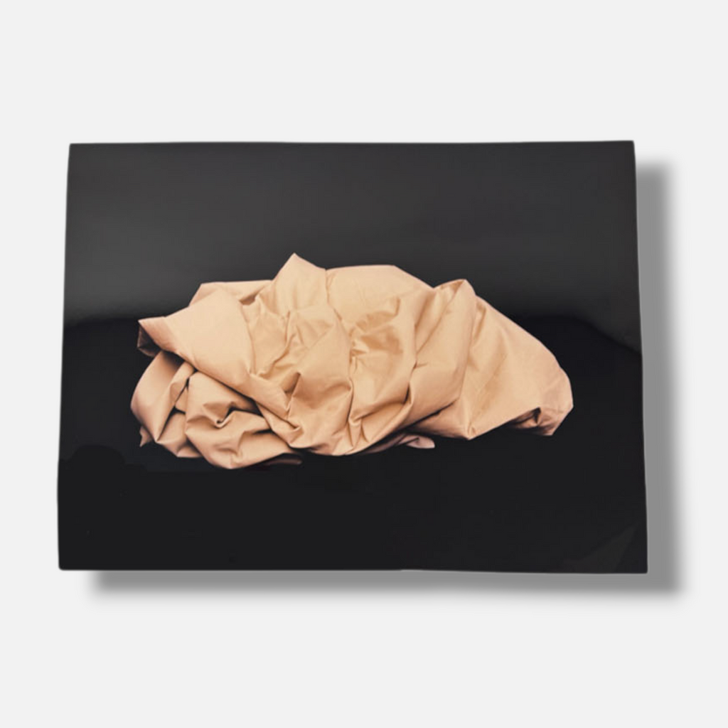 Paco González Almengló "Hikiko Mori III (Sepia)" 2003 Limited Signed Wall Art