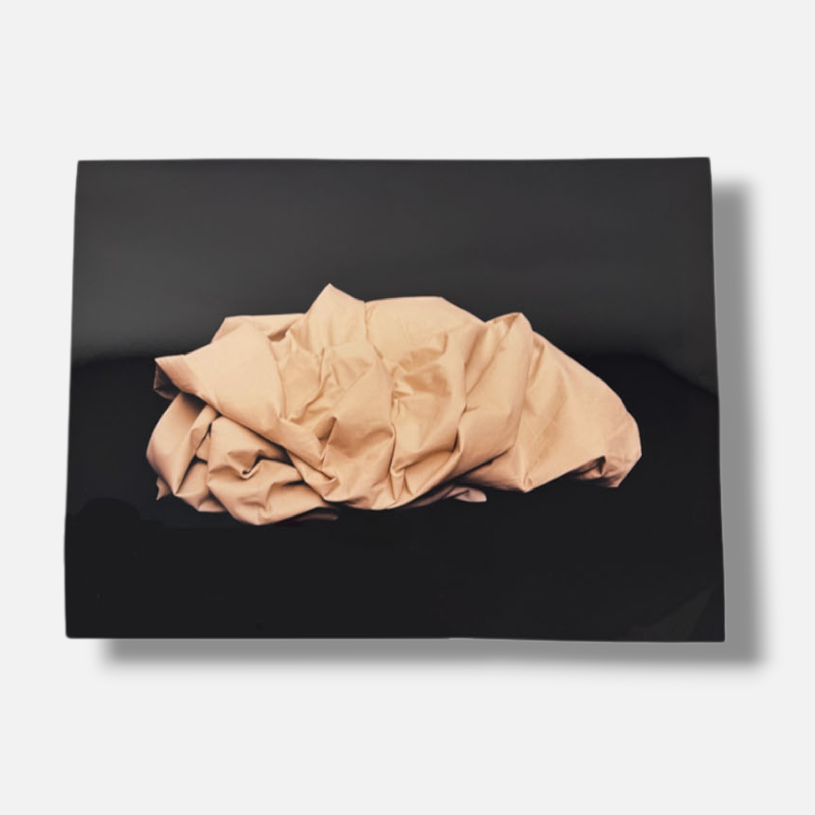Paco González Almengló "Hikiko Mori III (Sepia)" 2003 Limited Signed Wall Art