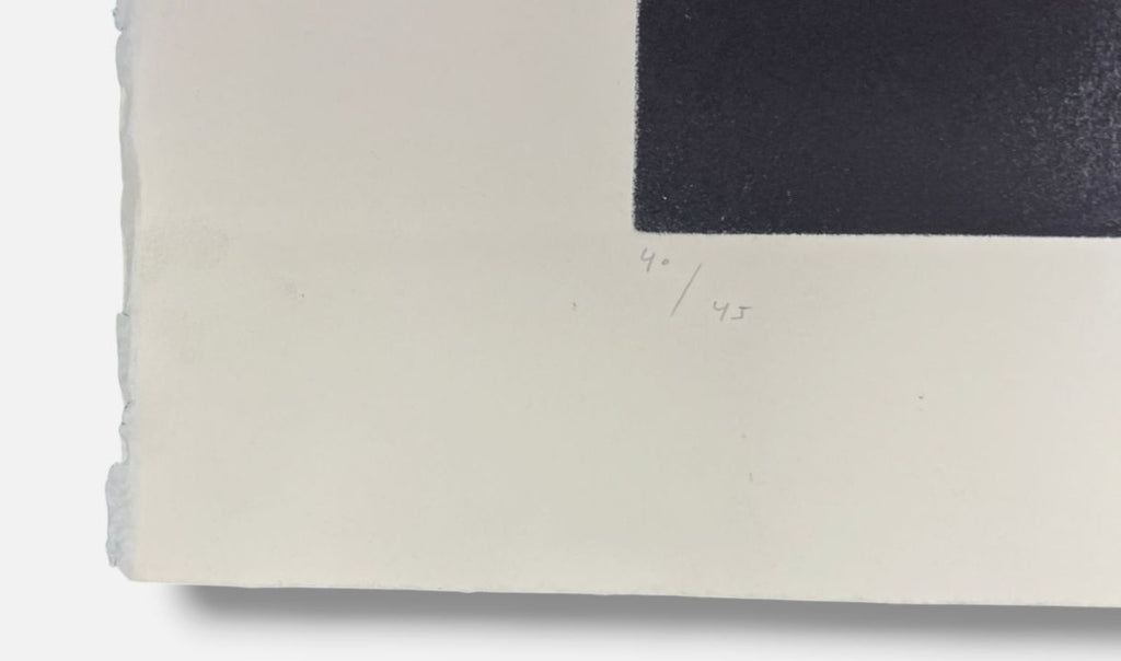 Joaquín Capa Eiriz "Painter's Palette" Limited Signed Fine Wall Art 100 x 70 cm
